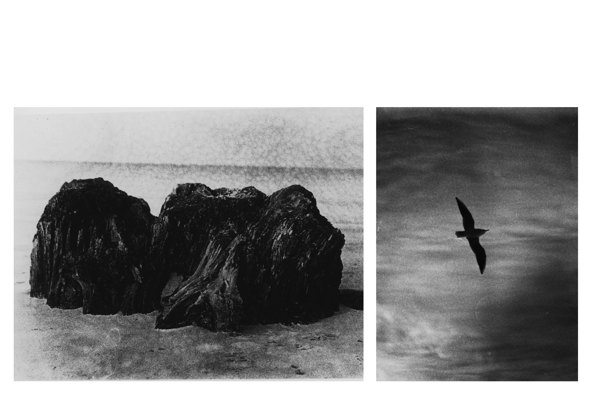 Stories from the sea