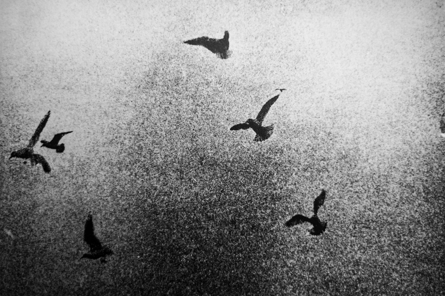 Stories from the sea