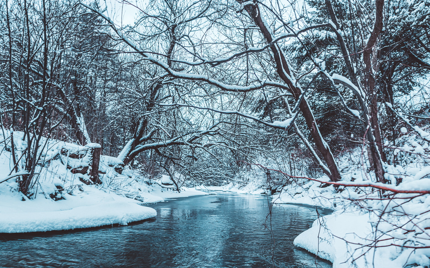 morristown stream