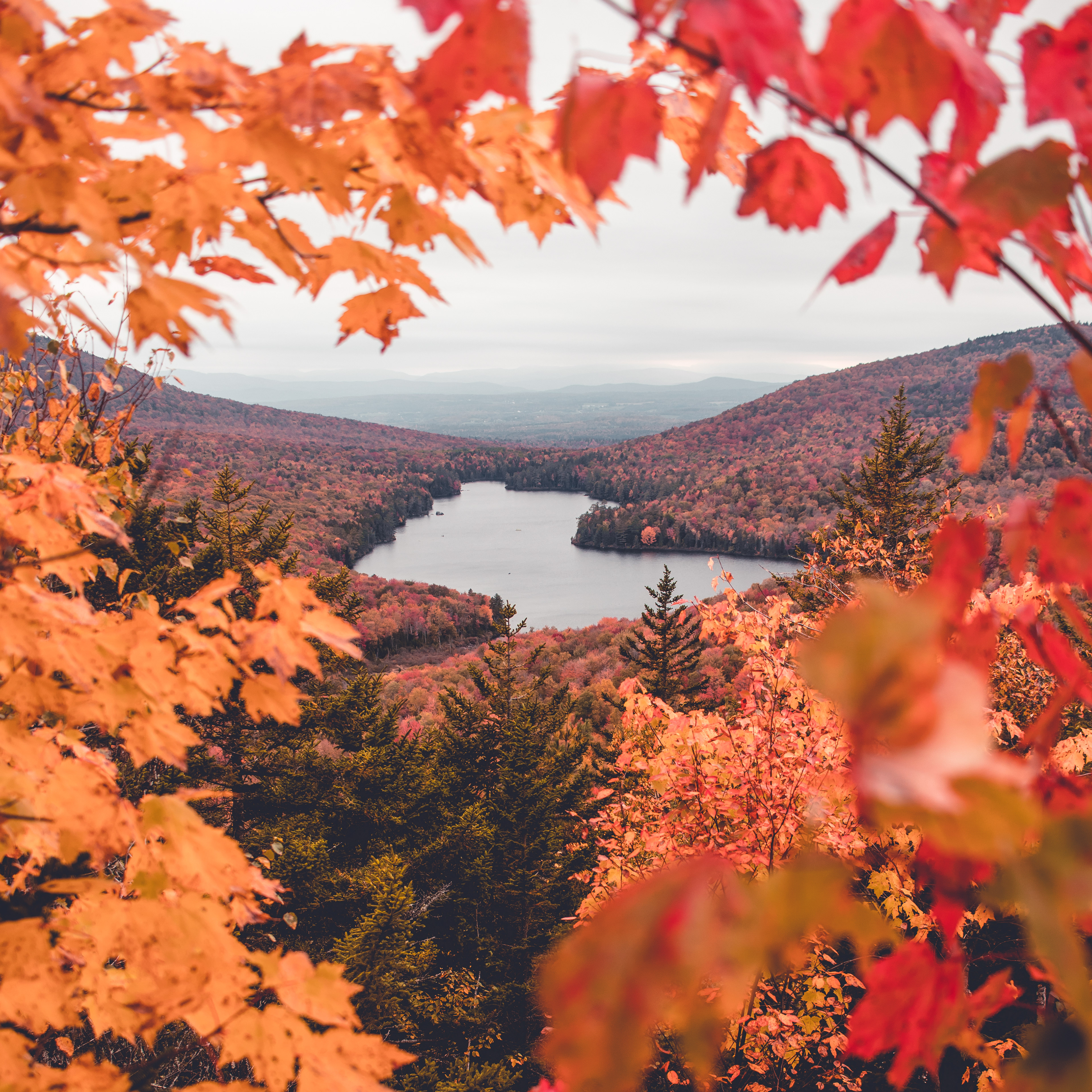 kettle pond from owl's head, groton state forest