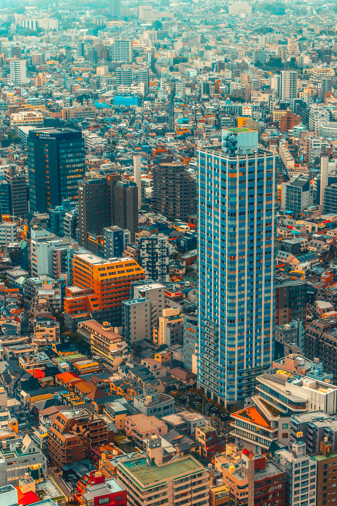 view from tokyo government building