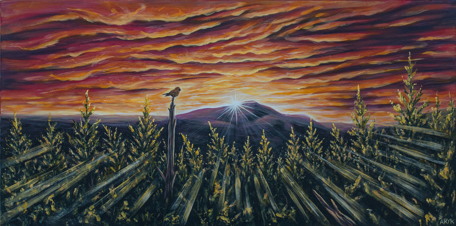 "Elmore Dawn" 30"x15"x1.5" Acrylic on Canvas $350