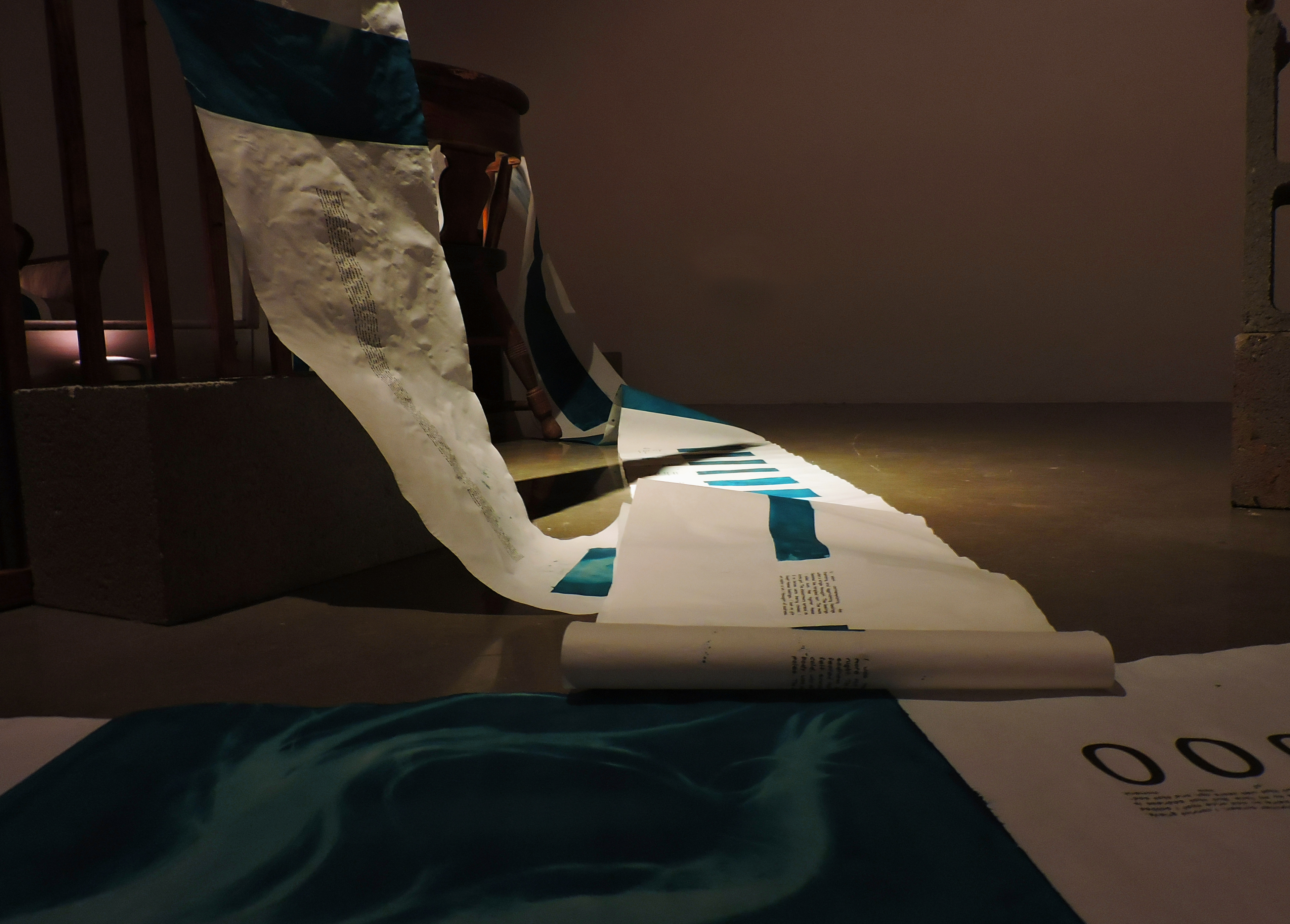 Anamnesis, installation view, cyanotype and inkjet print on vellum, 168’ x 16”, 2021.