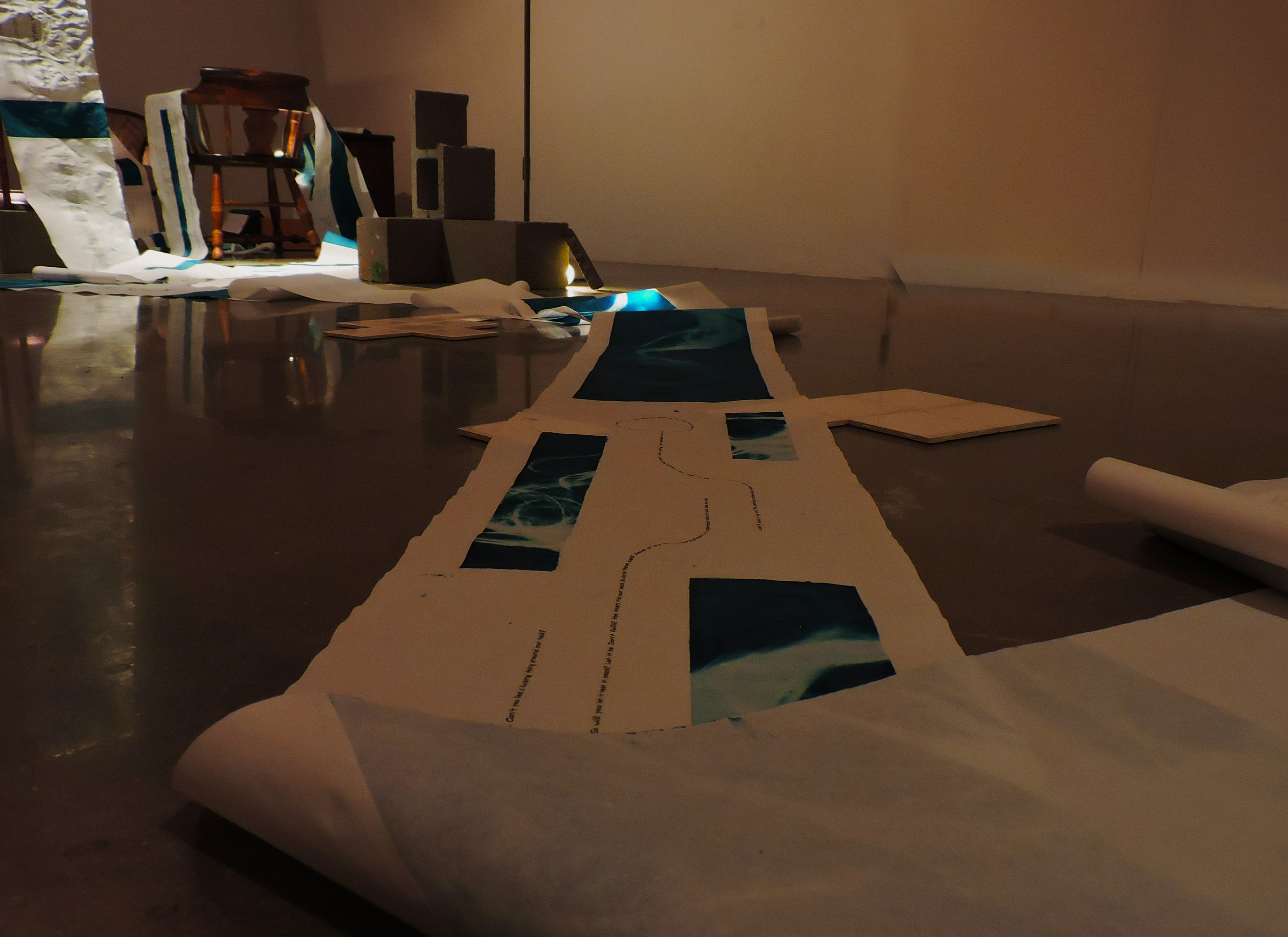 Anamnesis, installation view, cyanotype and inkjet print on vellum, 168’ x 16”, 2021.