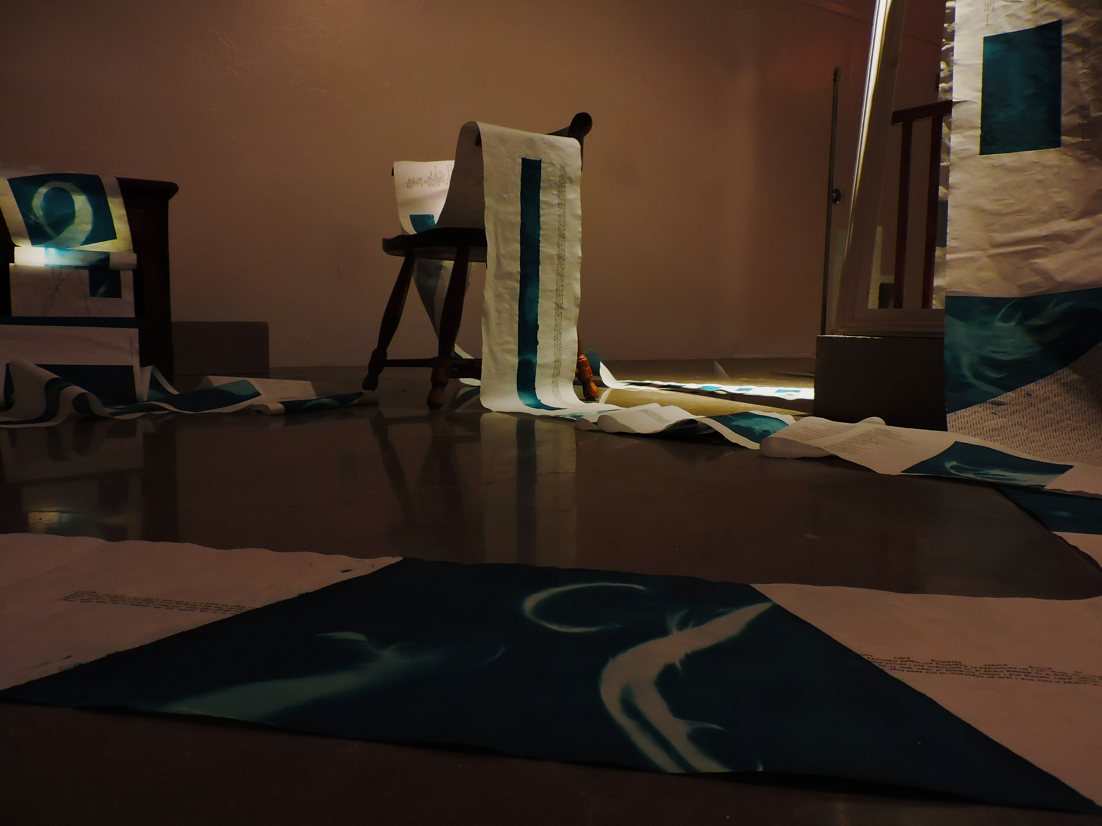 Anamnesis, installation view, cyanotype and inkjet print on vellum, 168’ x 16”, 2021.