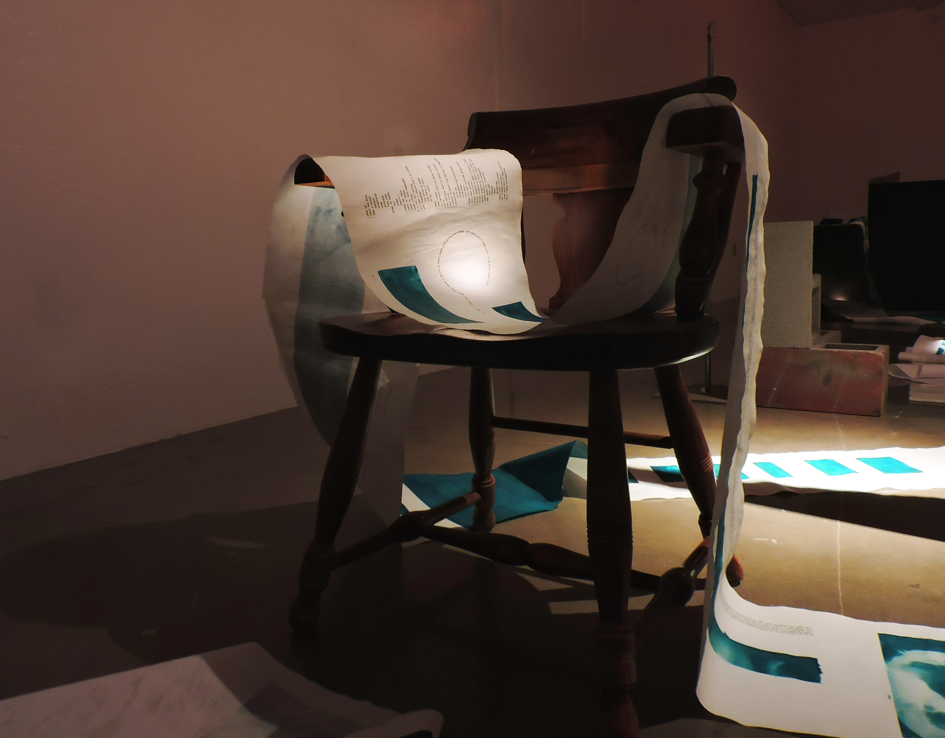Anamnesis, installation view, cyanotype and inkjet print on vellum, 168’ x 16”, 2021.