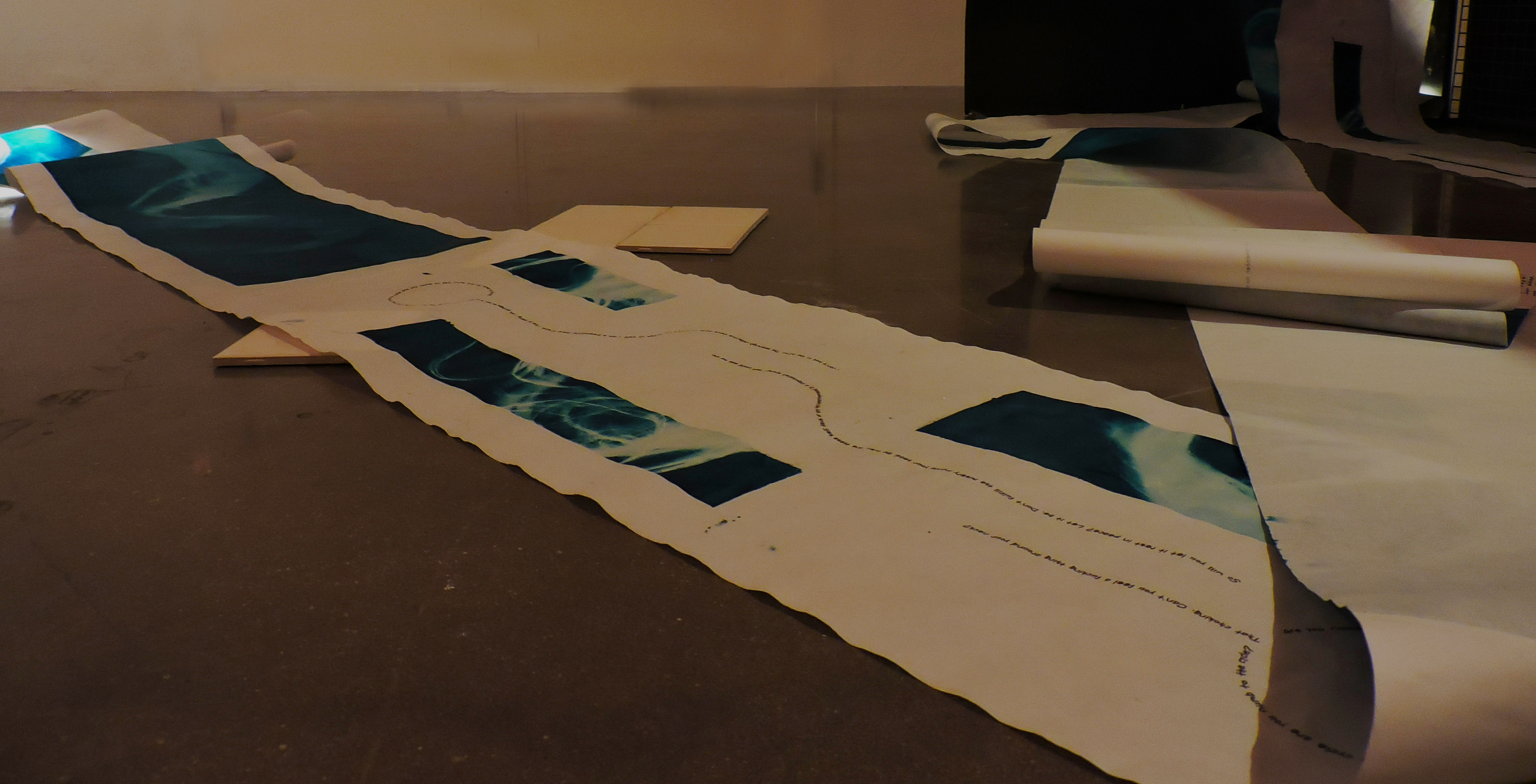 Anamnesis, installation view, cyanotype and inkjet print on vellum, 168’ x 16”, 2021.
