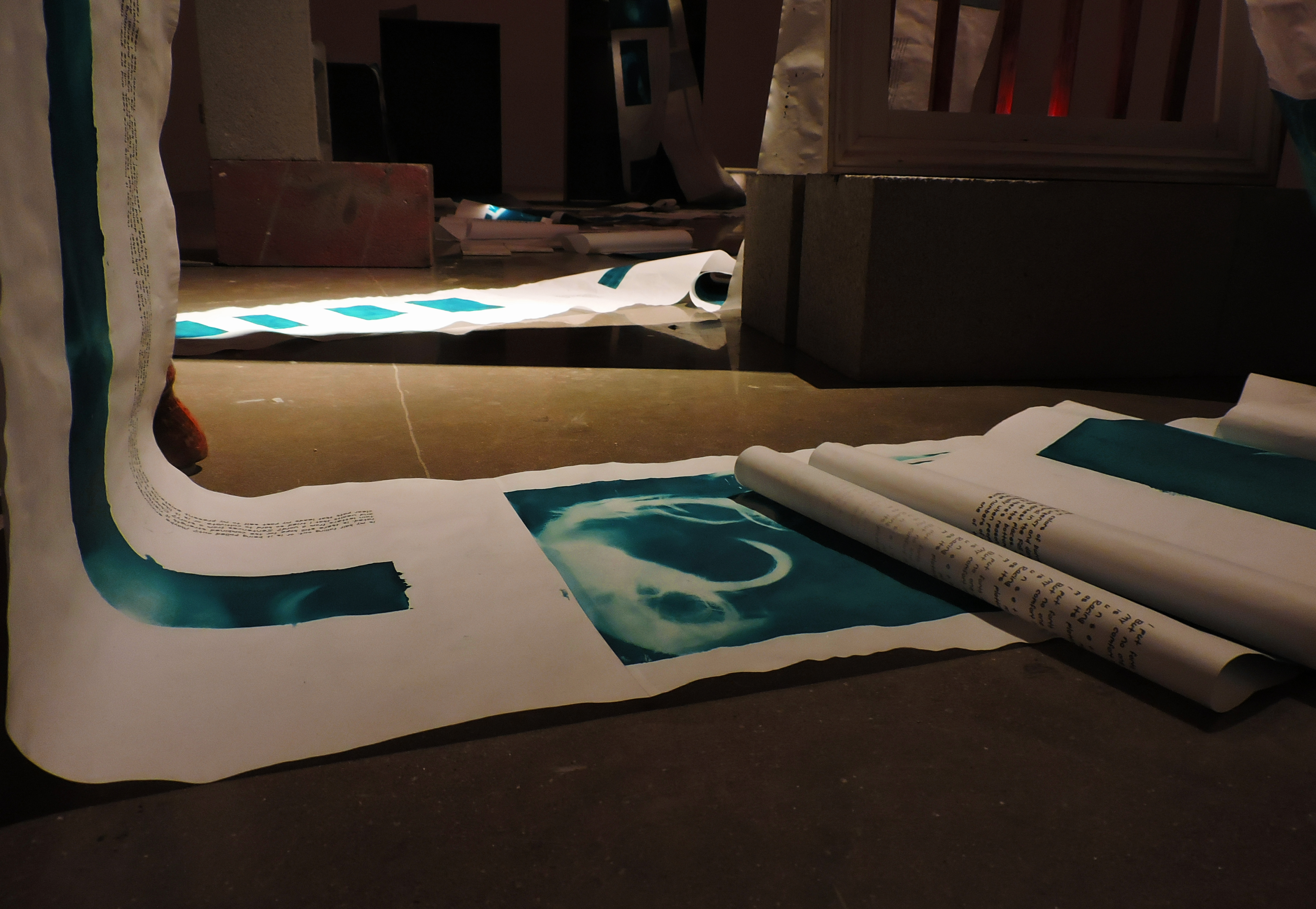 Anamnesis, installation view, cyanotype and inkjet print on vellum, 168’ x 16”, 2021.