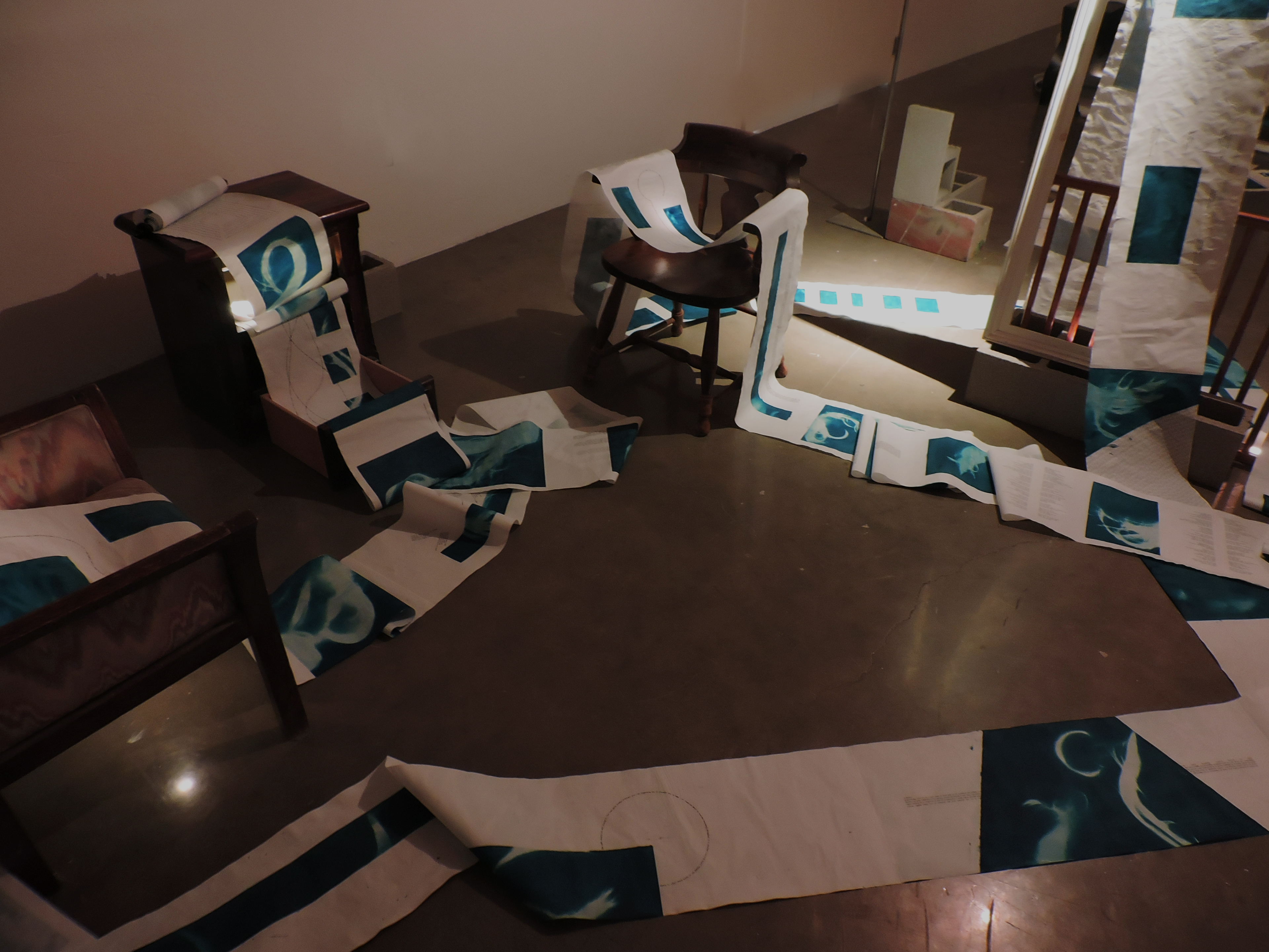 Anamnesis, installation view, cyanotype and inkjet print on vellum, 168’ x 16”, 2021.