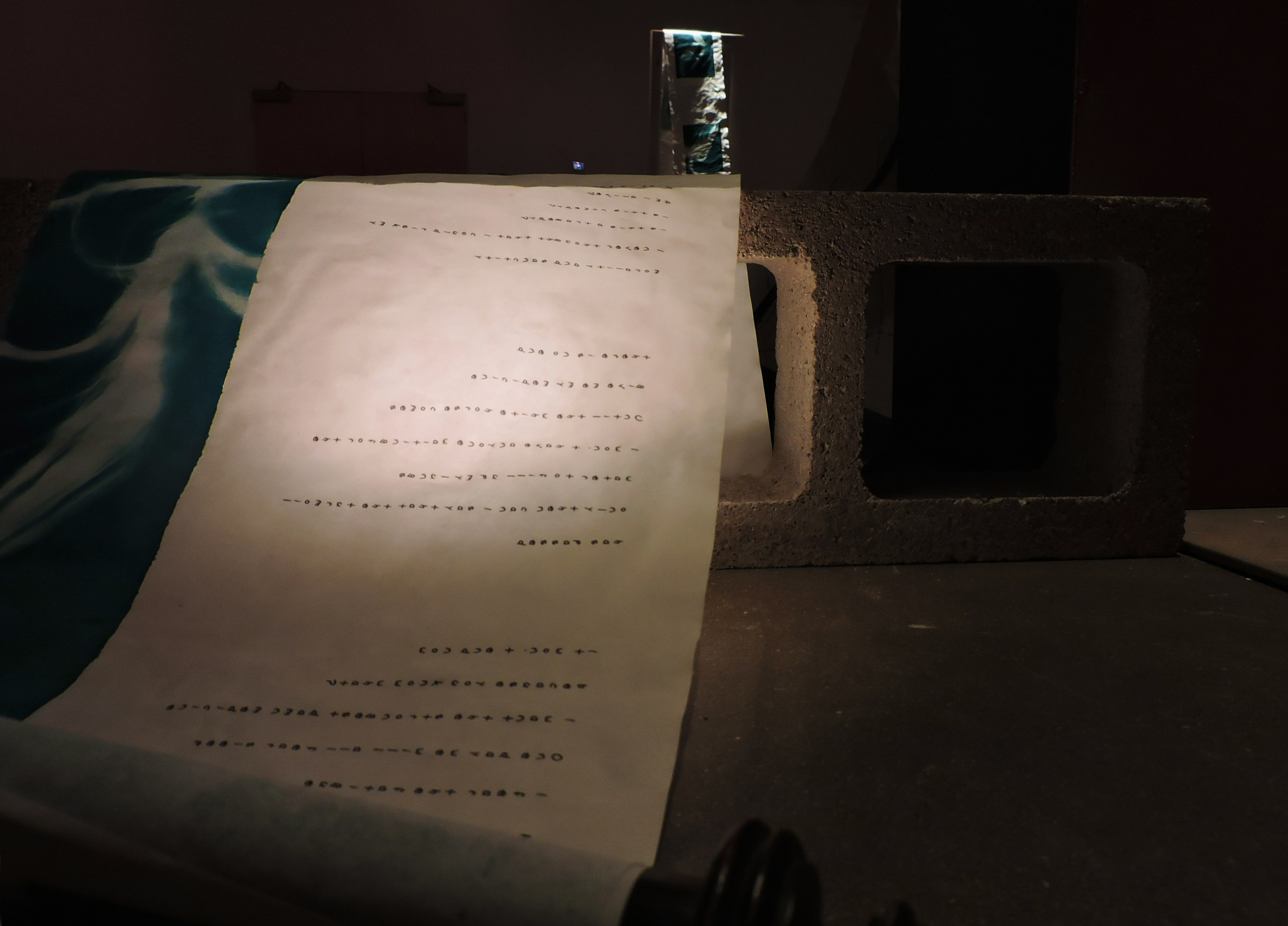 Anamnesis, installation view, cyanotype and inkjet print on vellum, 168’ x 16”, 2021.