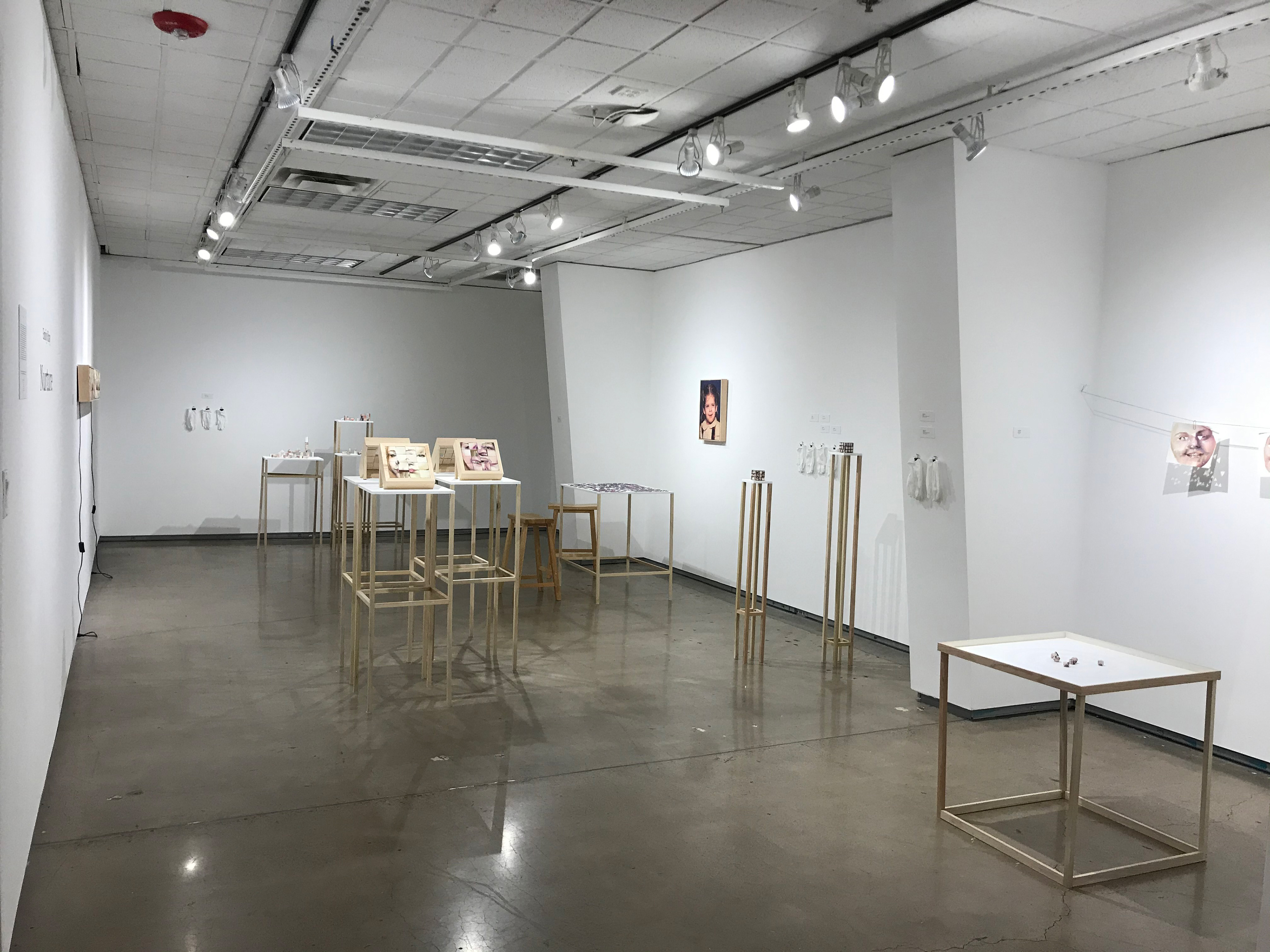 Nurture, Installation view, 2020.