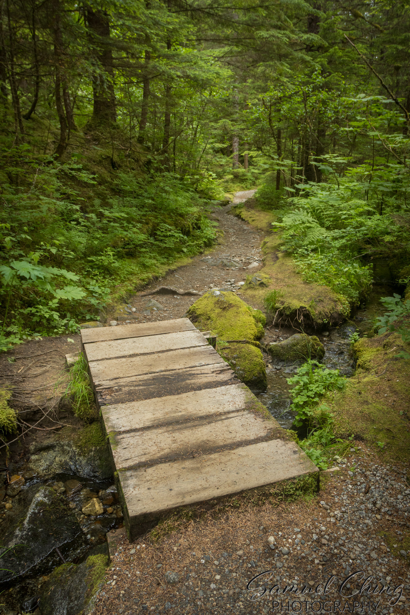 East Glacier Trail, Juneau, Alaska