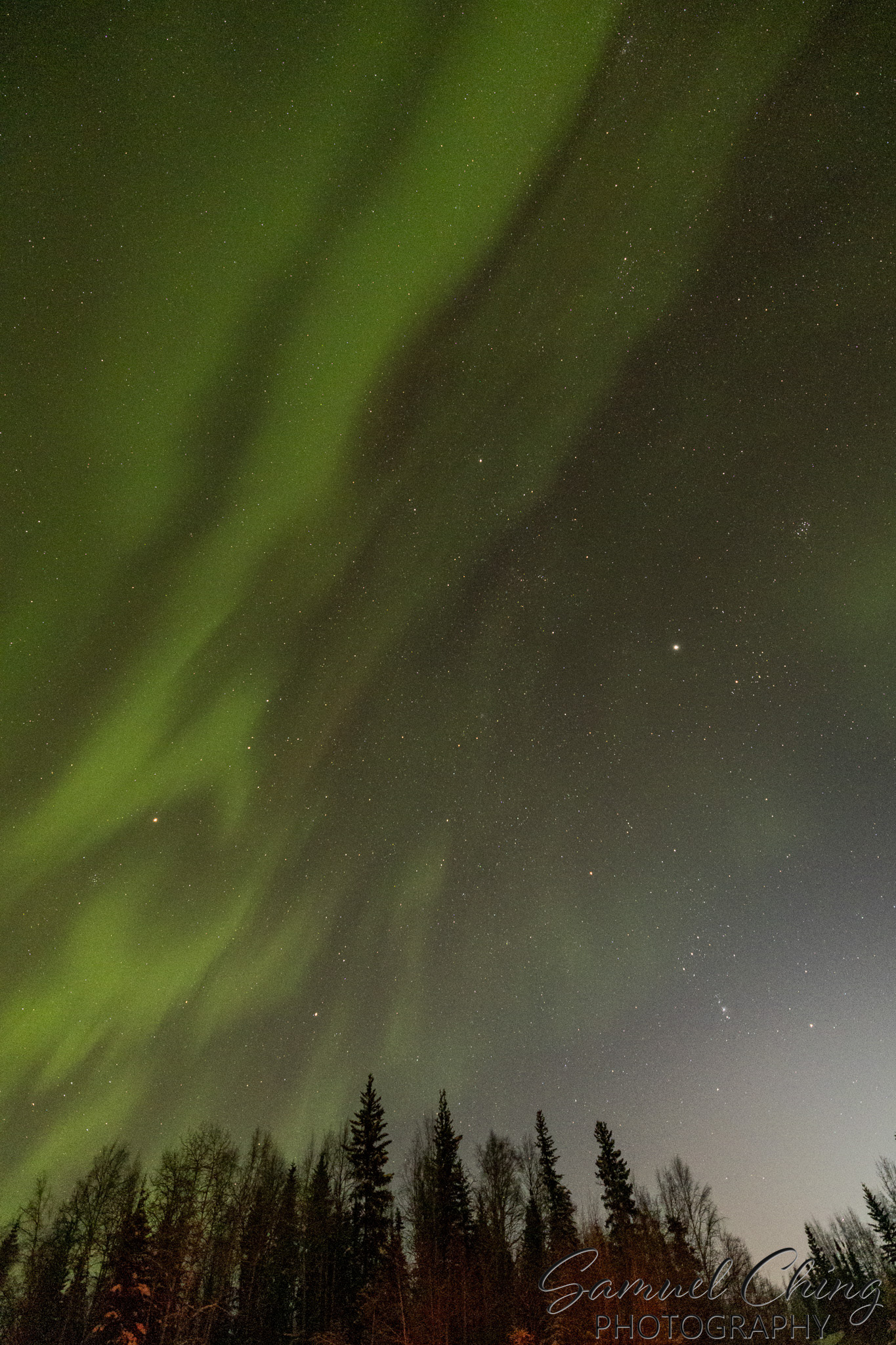Northern Lights, Fairbanks, AK