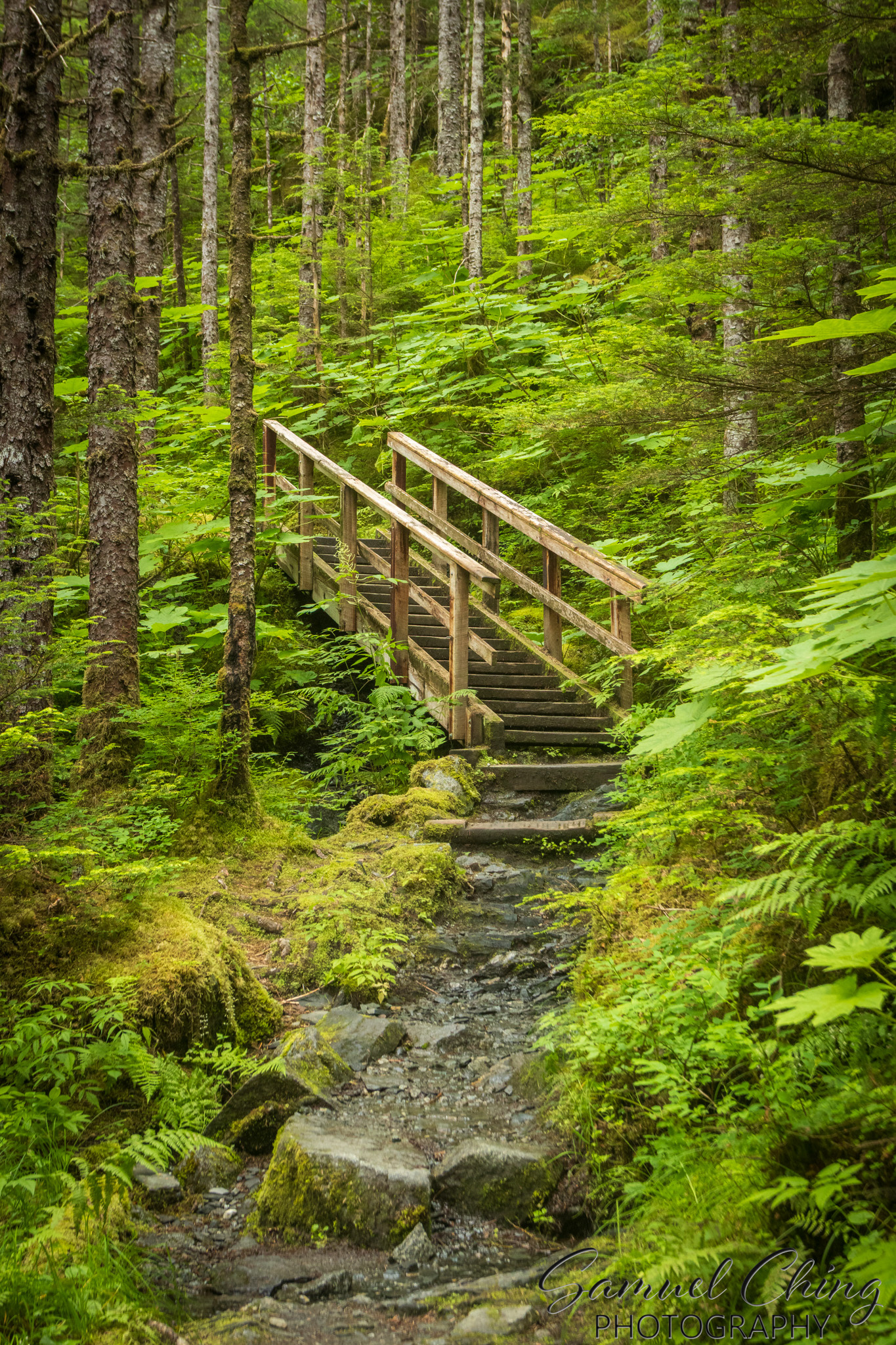 East Glacier Trail, Juneau, Alaska