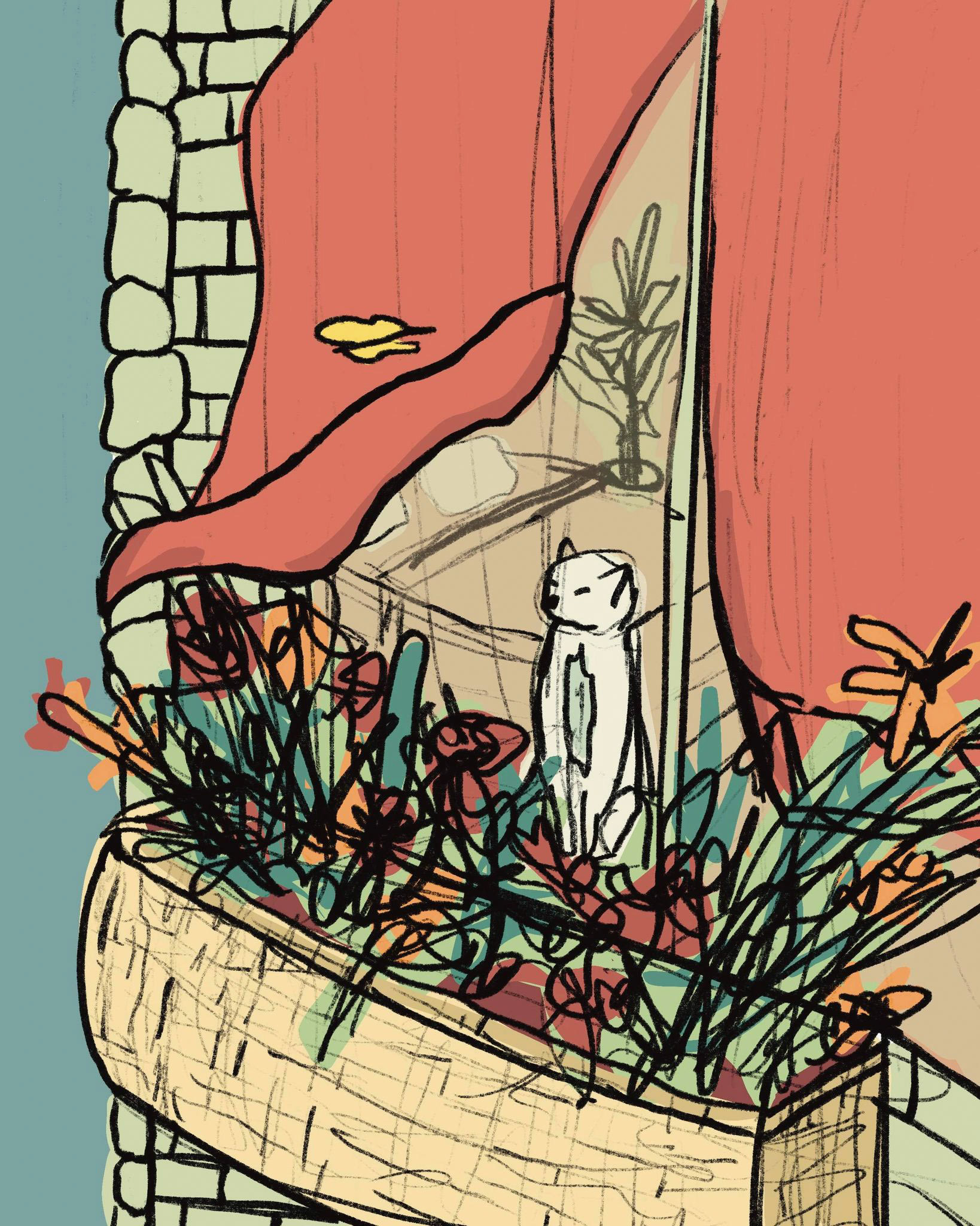 Cat Sketch, Procreate, 2021