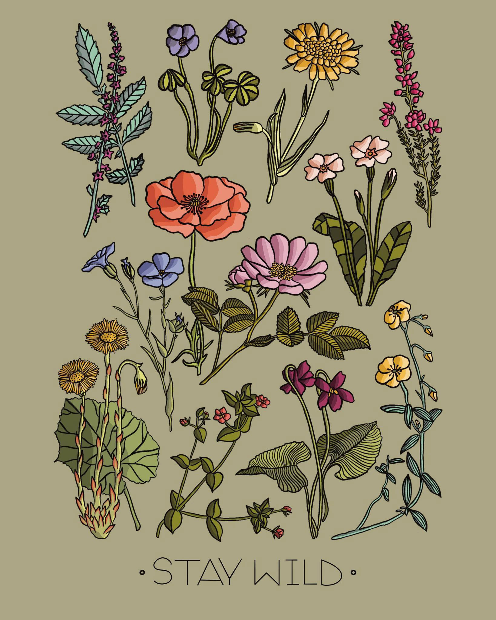 Poster illustration, Procreate, 2020