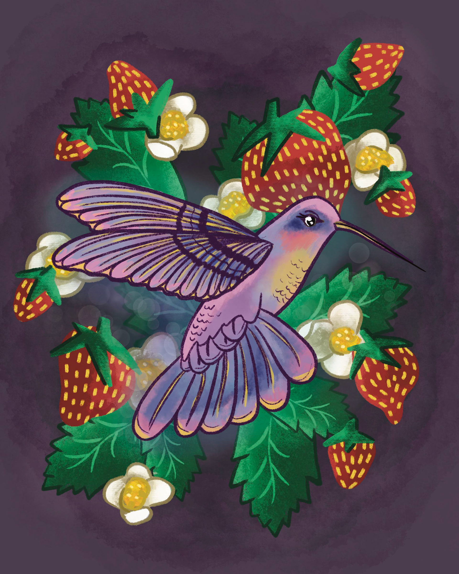 Hummingbird Illustration, Procreate, 2023