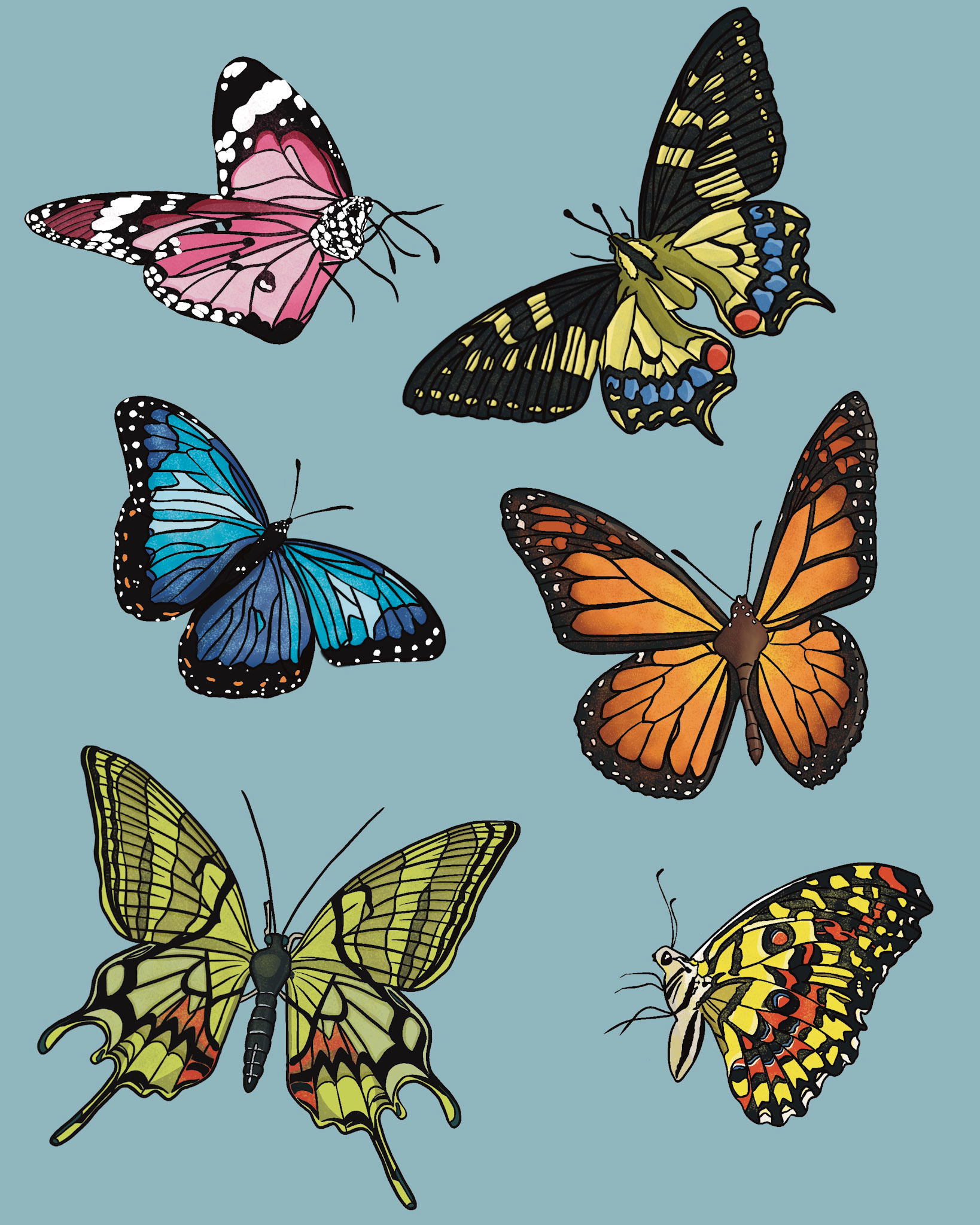 Butterflies, Procreate, 2021