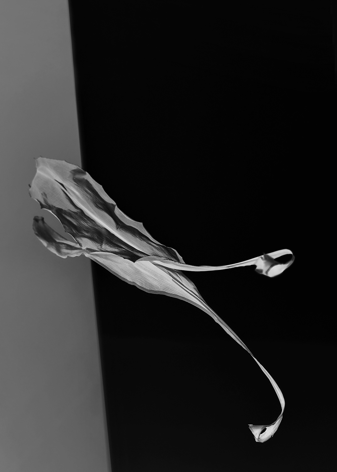 Pastill