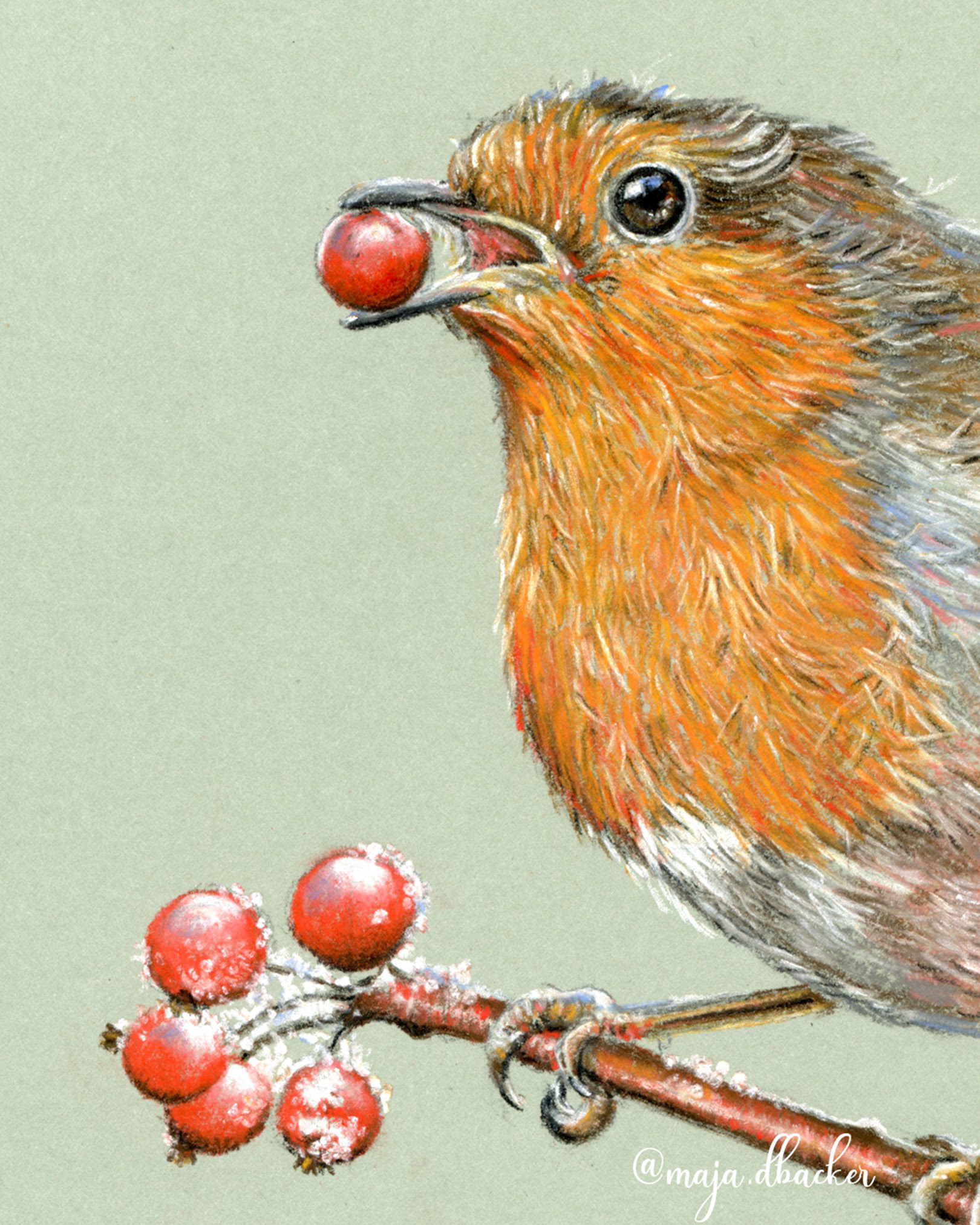 A robin on A5 grey/green paper: close up