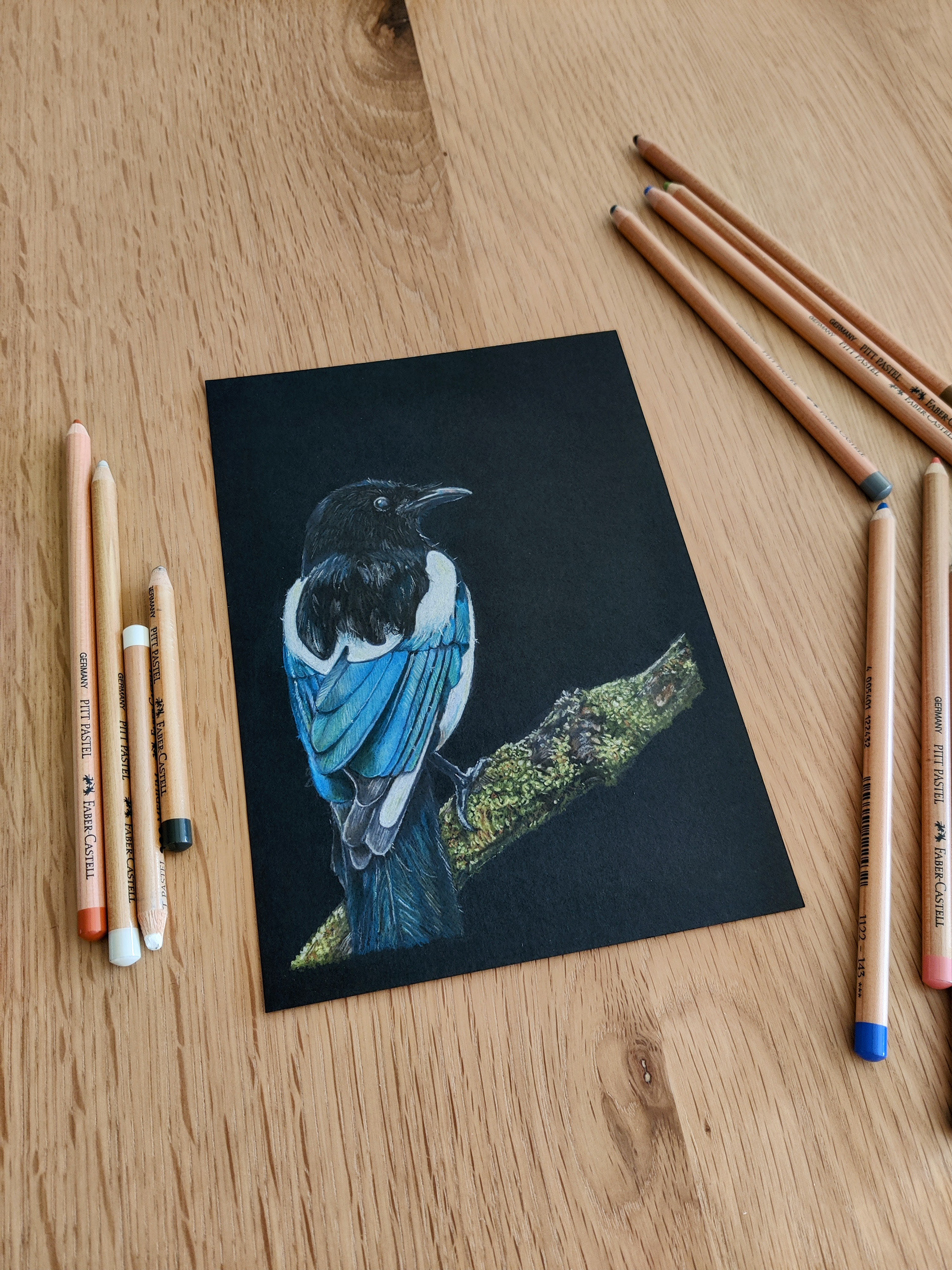 A magpie on A5 black paper