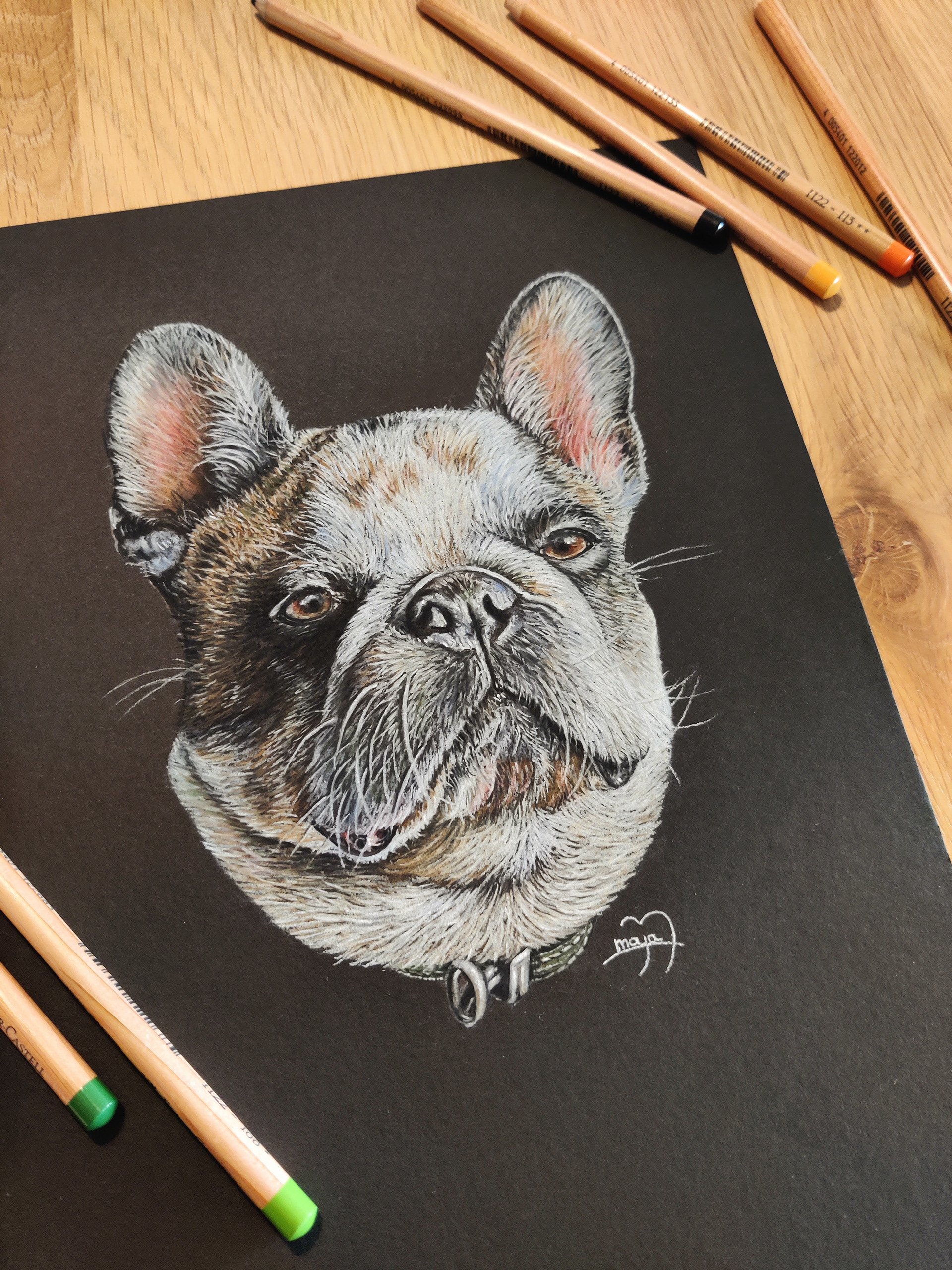 French bulldog on A4 black paper