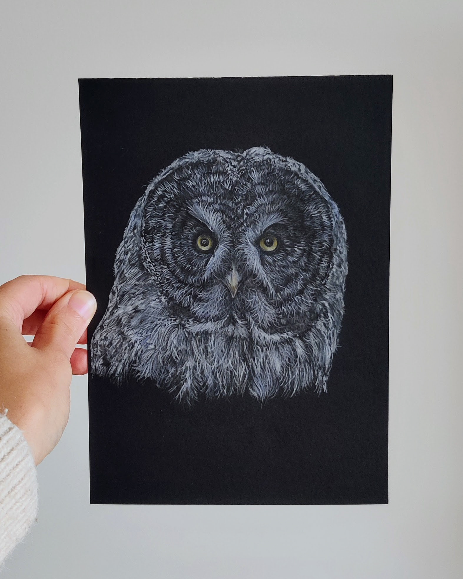 A great grey on A5 black paper