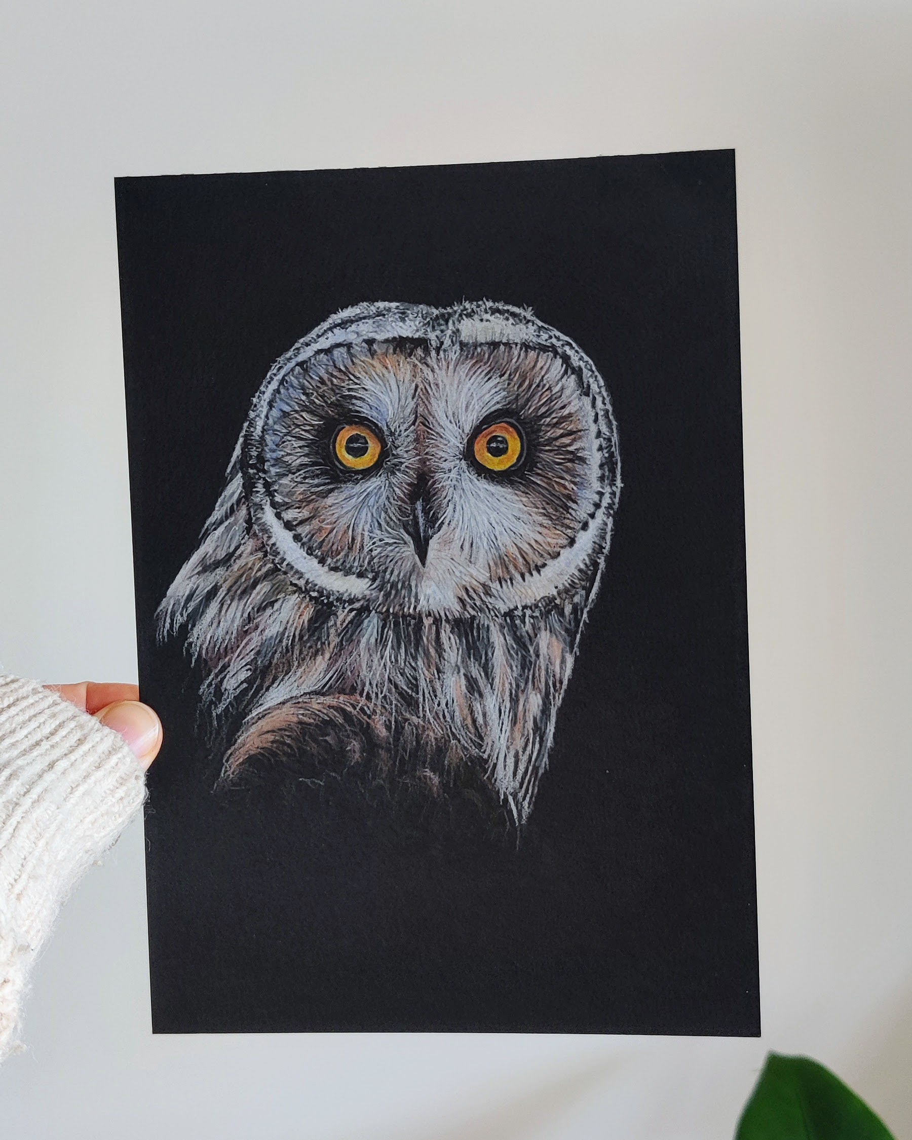 A short eared owl on A5 black paper