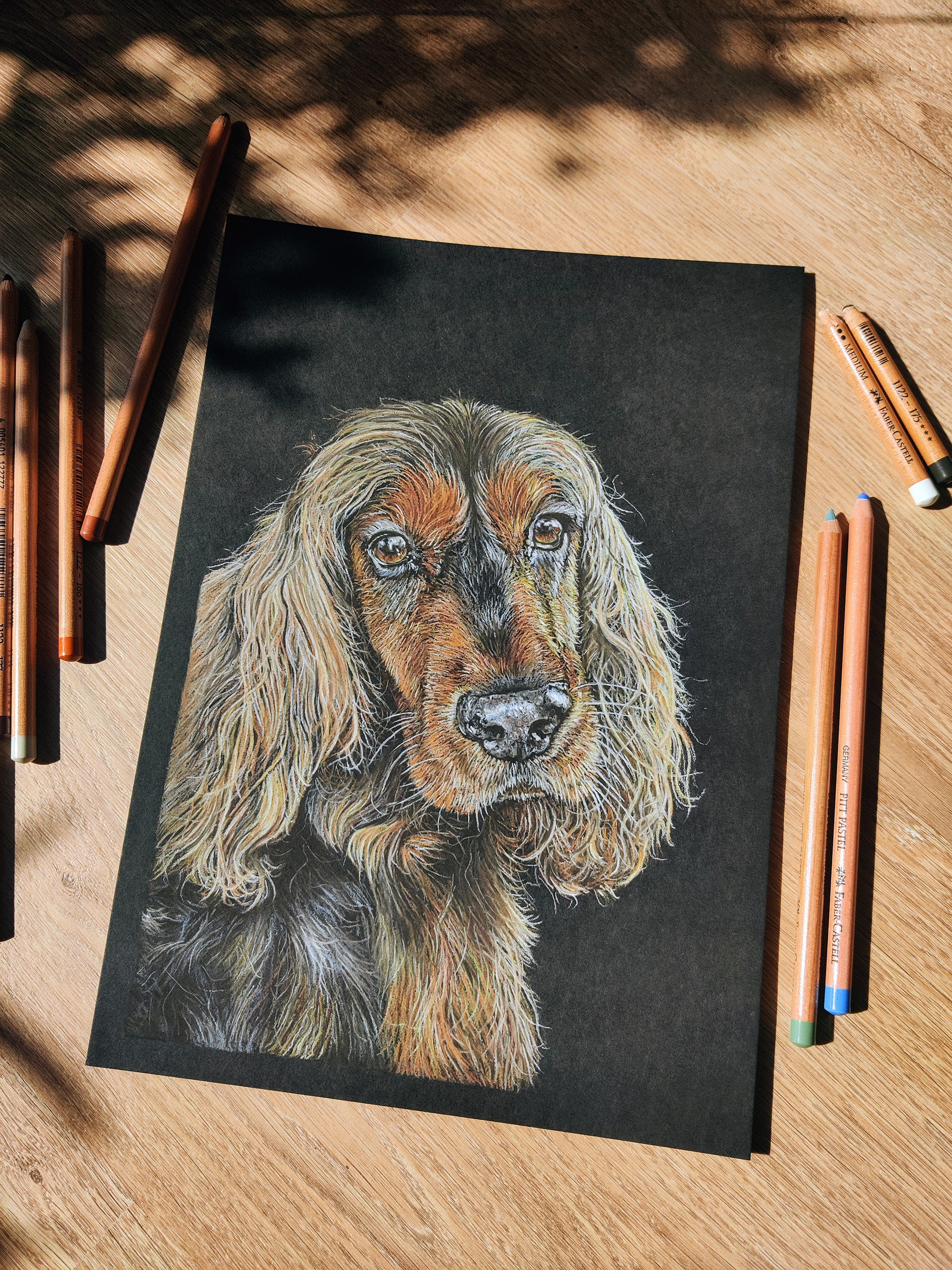 Cocker spaniel on A4 black paper