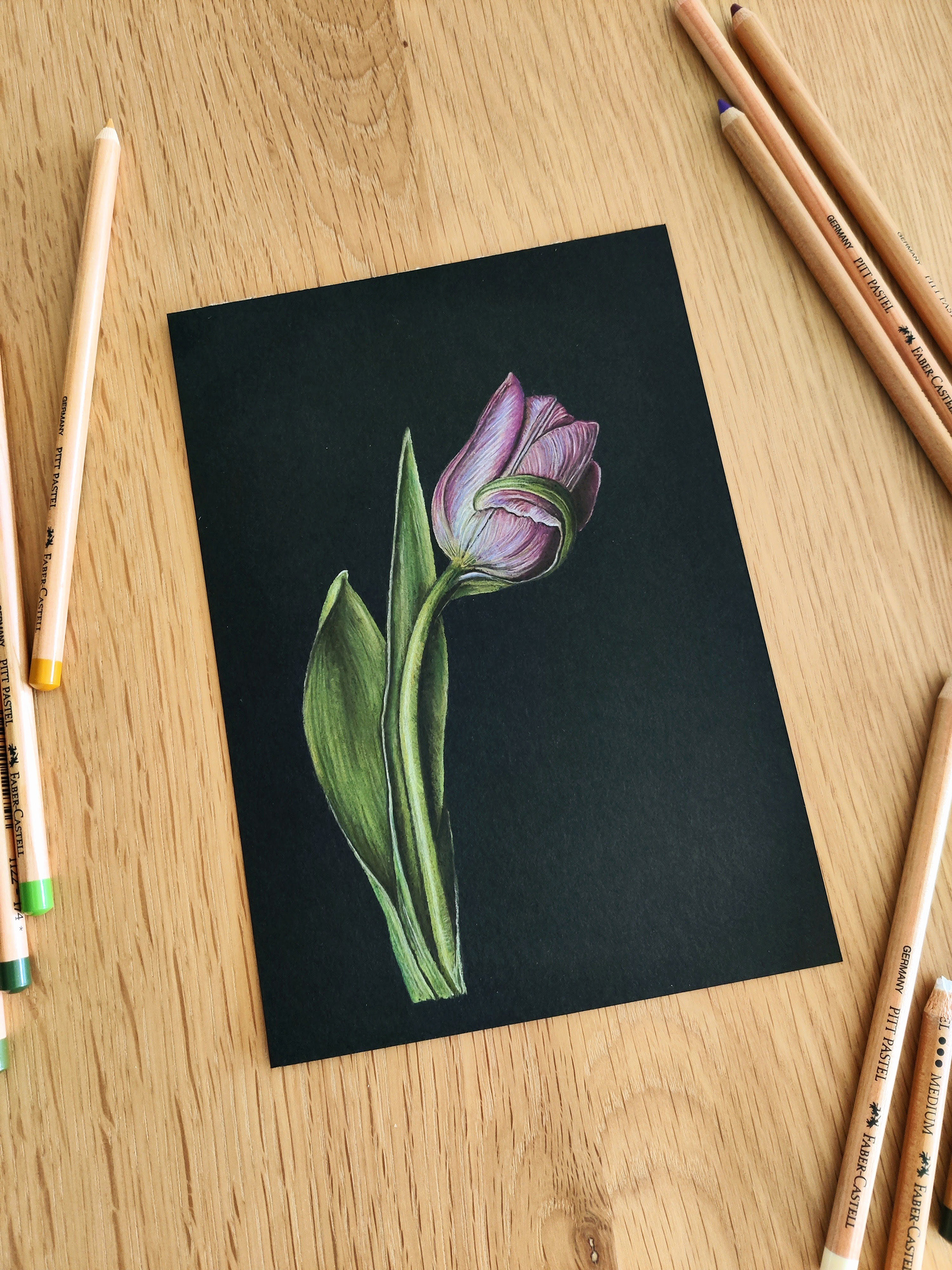 Pink tulip on A5 black paper