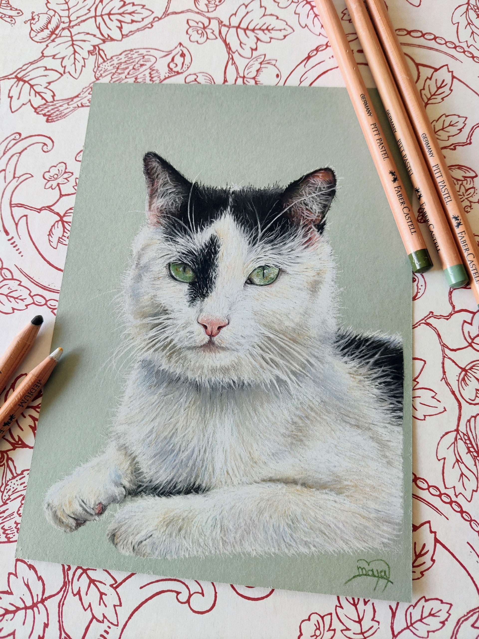 Cat on A5 grey/green paper #1
