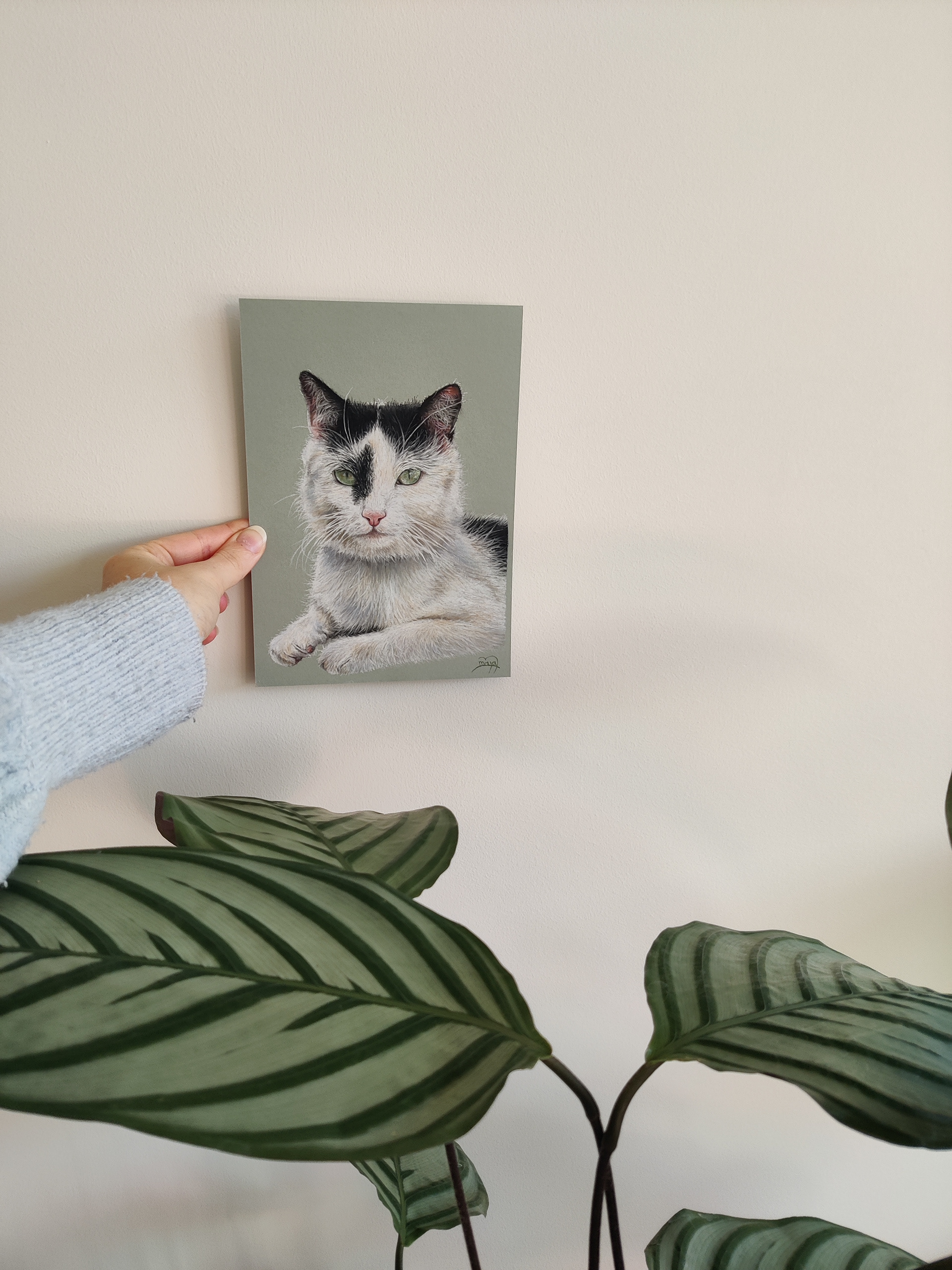 Cat on A5 grey/green paper #2