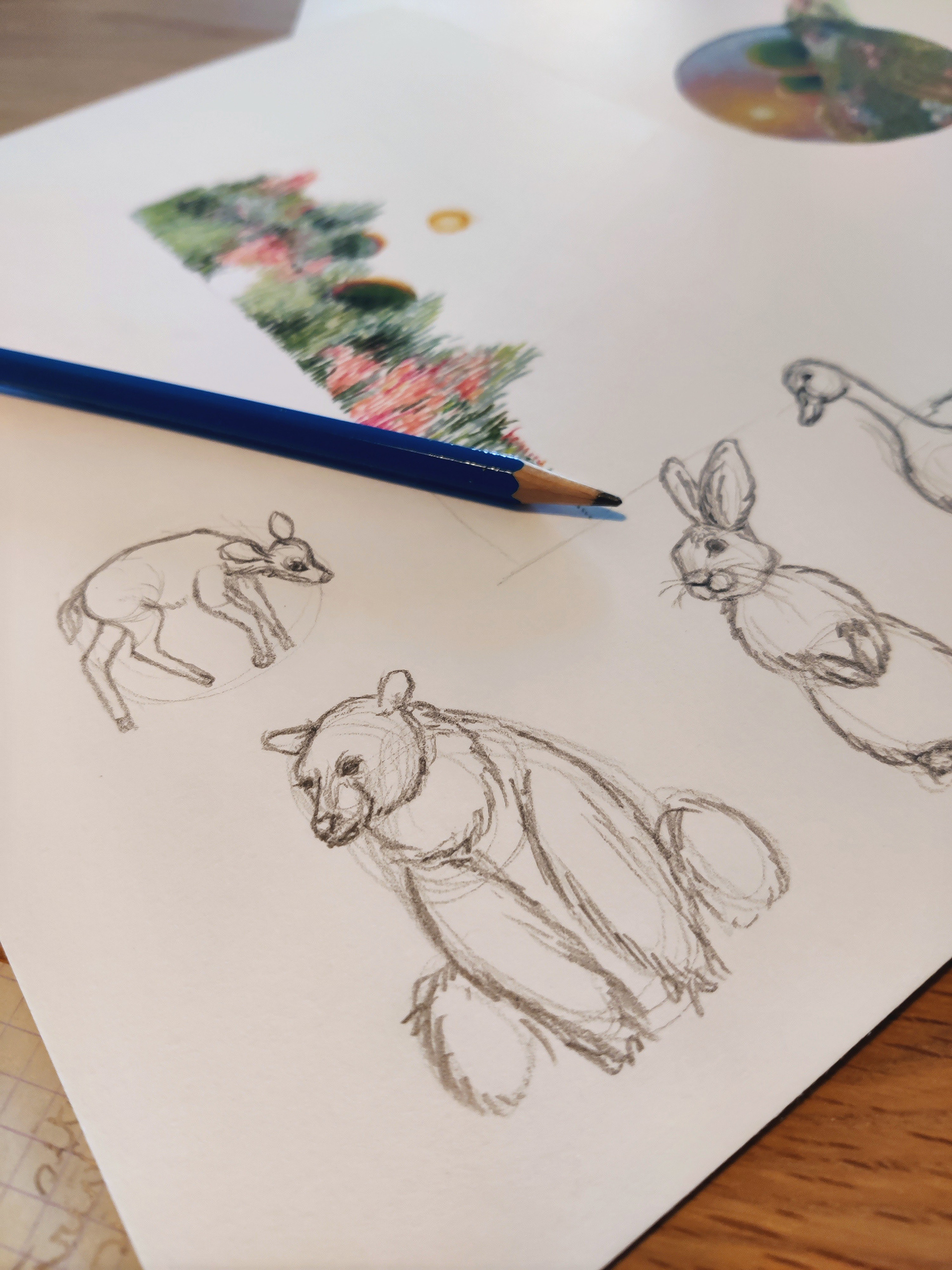 Sketches of a bear, deer, rabbit and goose