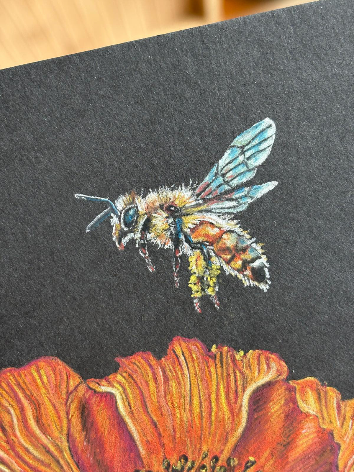 A poppy flower with tiny bee: close up