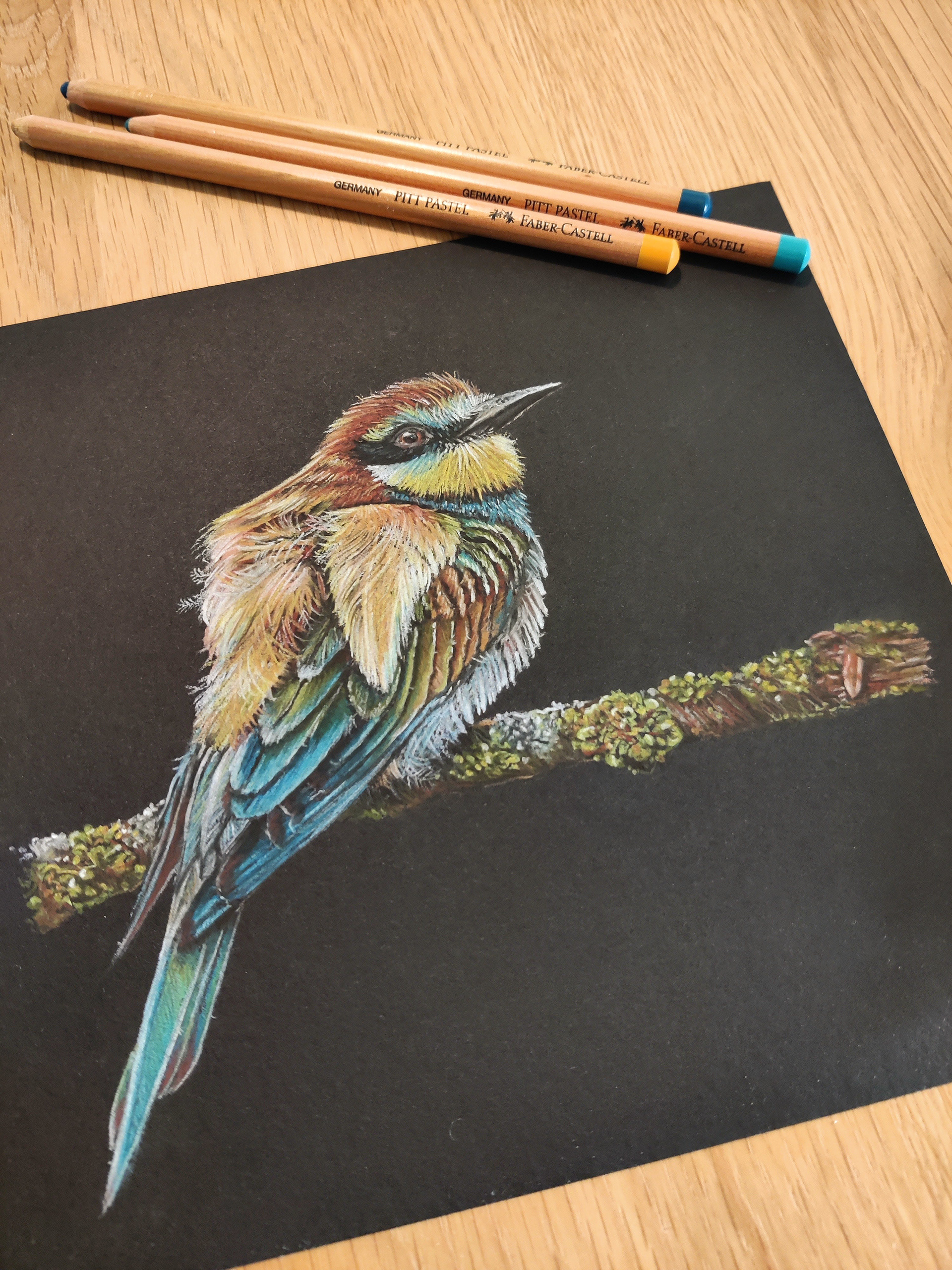 Bee eater on black paper