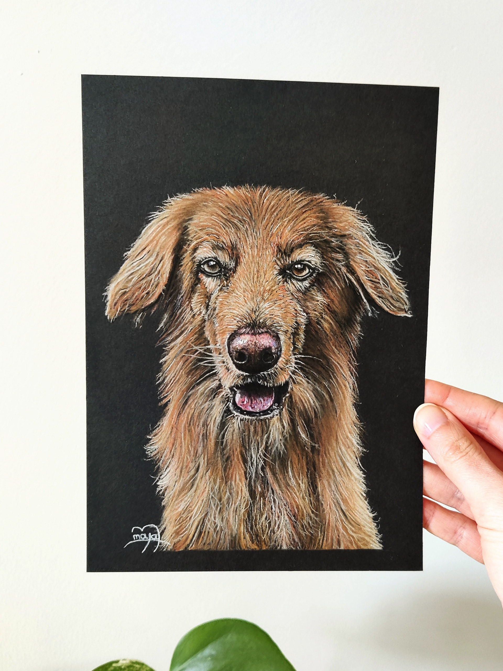 A dog mix on A5 black paper