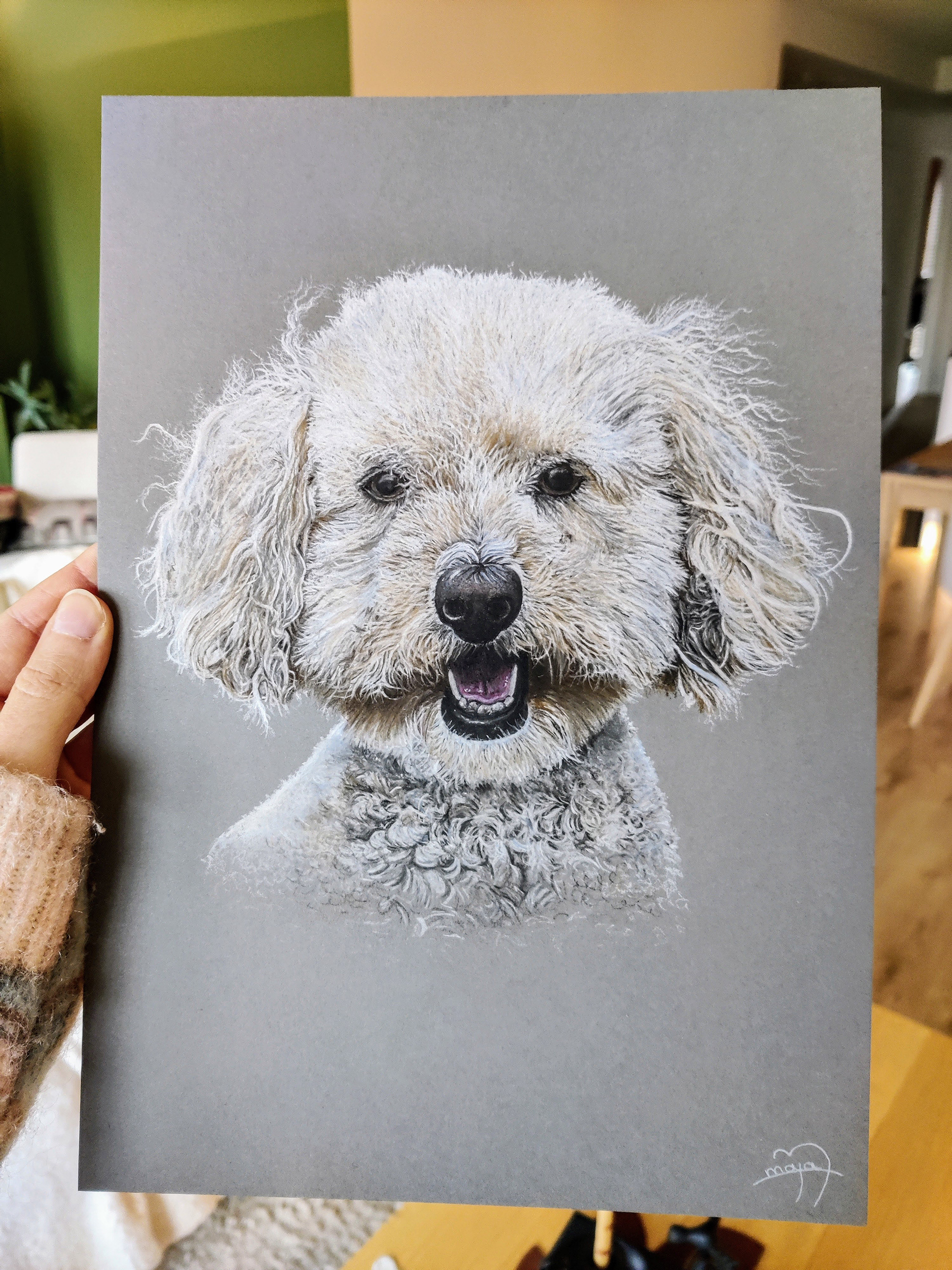 Poodle on A4 grey paper