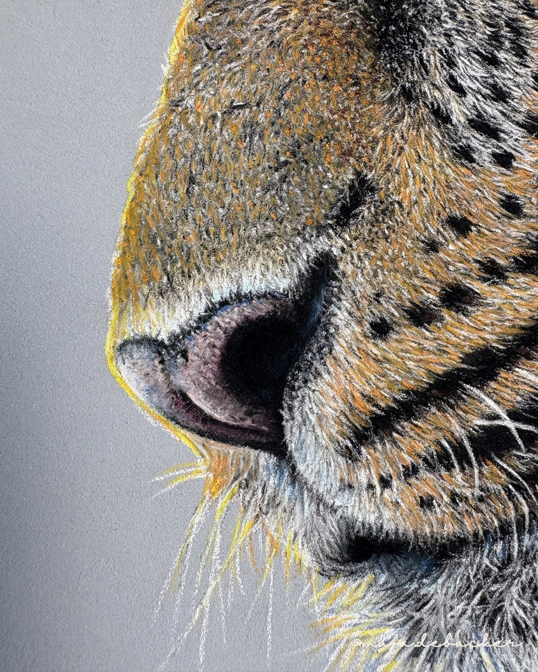 Jaguar & hummingbird on 30cm x 40cm pastelmat #details
