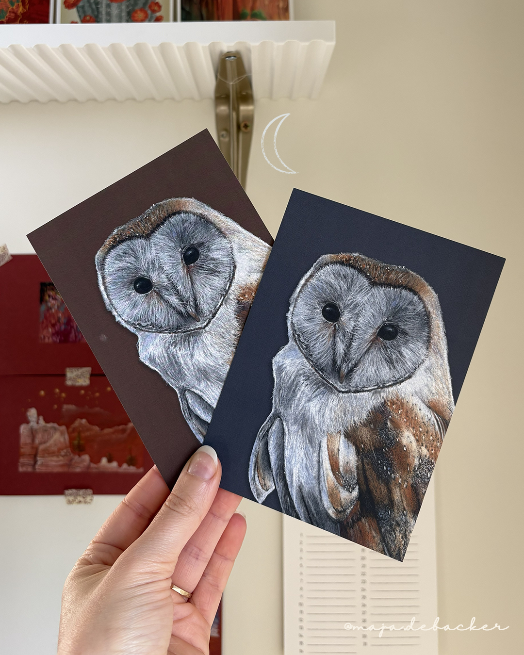 Barn owl in blue/brown (A6)
