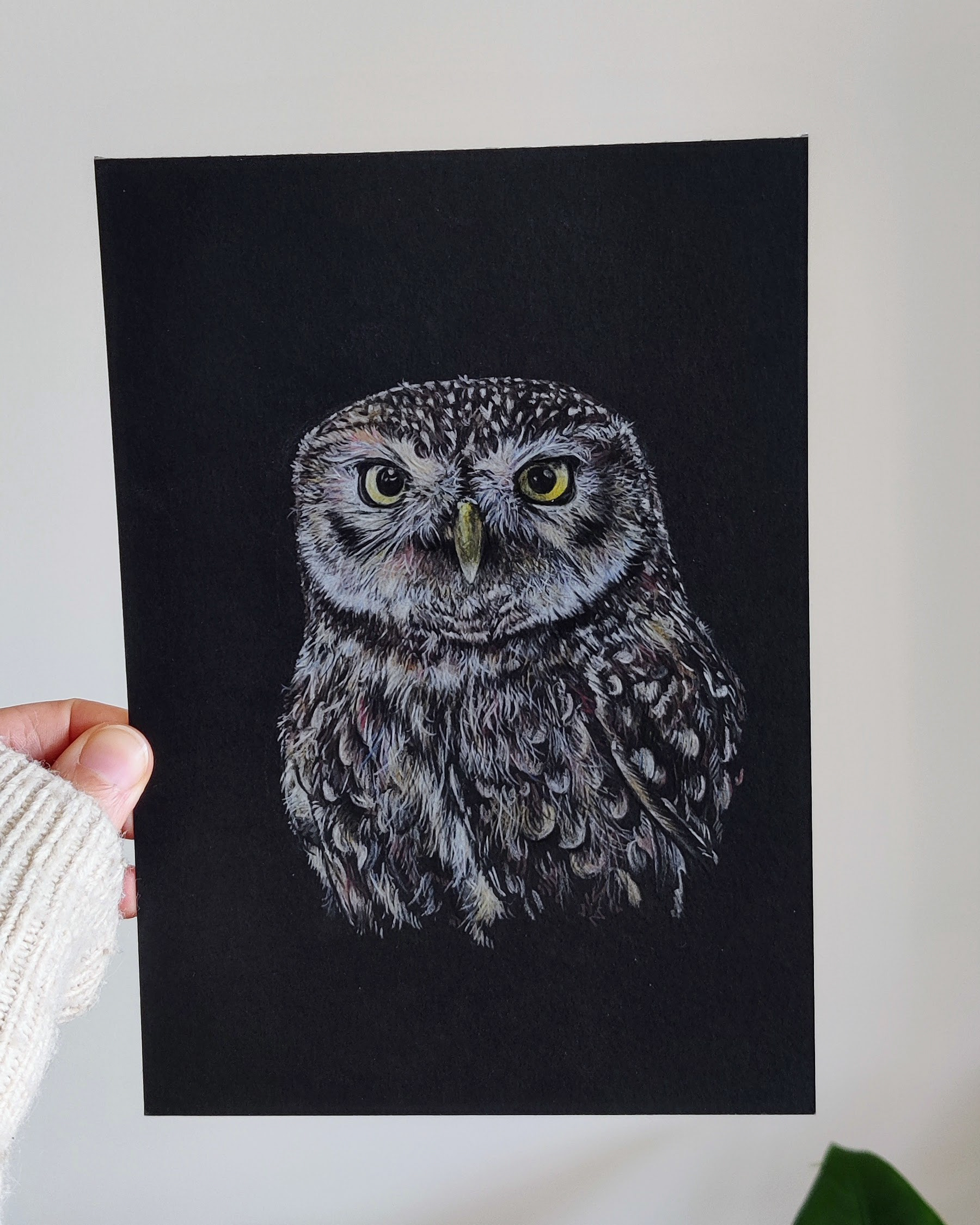 A tiny owl on A5 black paper