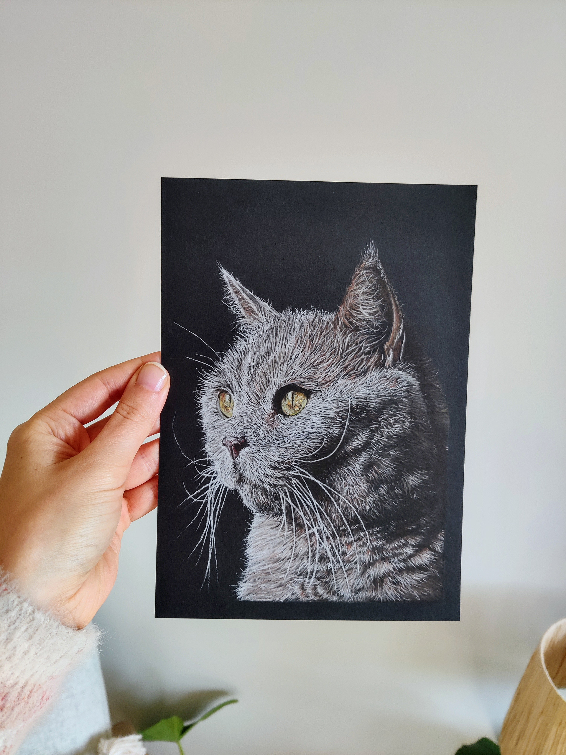 Cat on A5 black paper