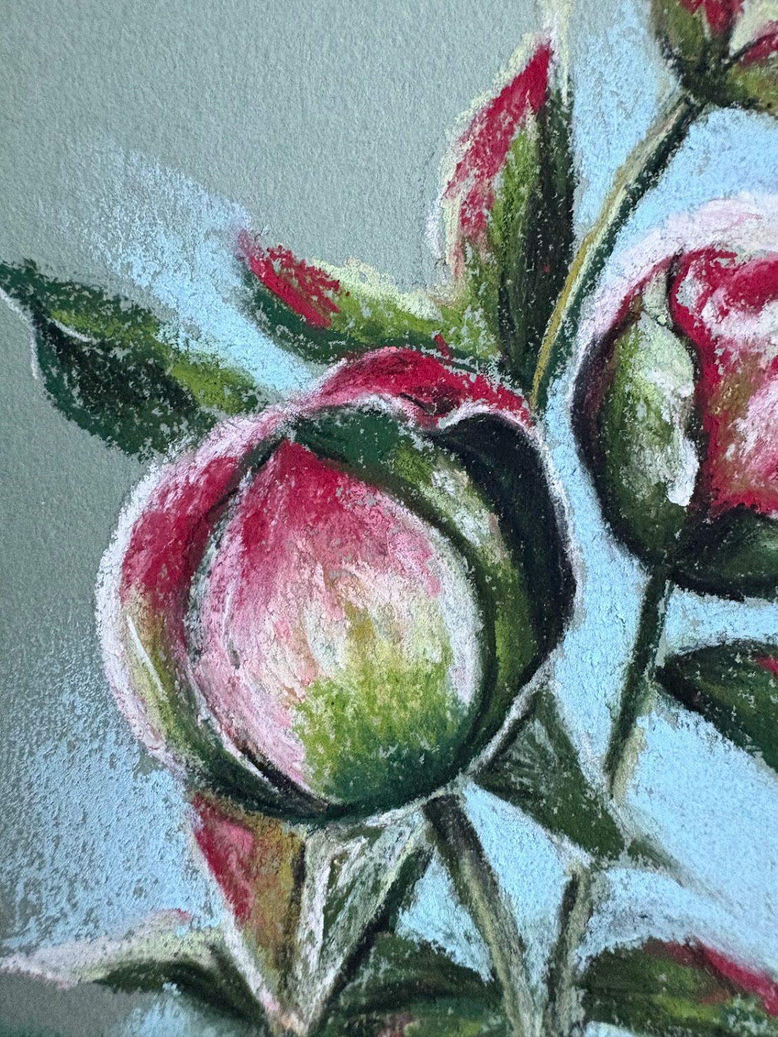 Peony (pioenroos) on A5 grey/green paper #2: close up