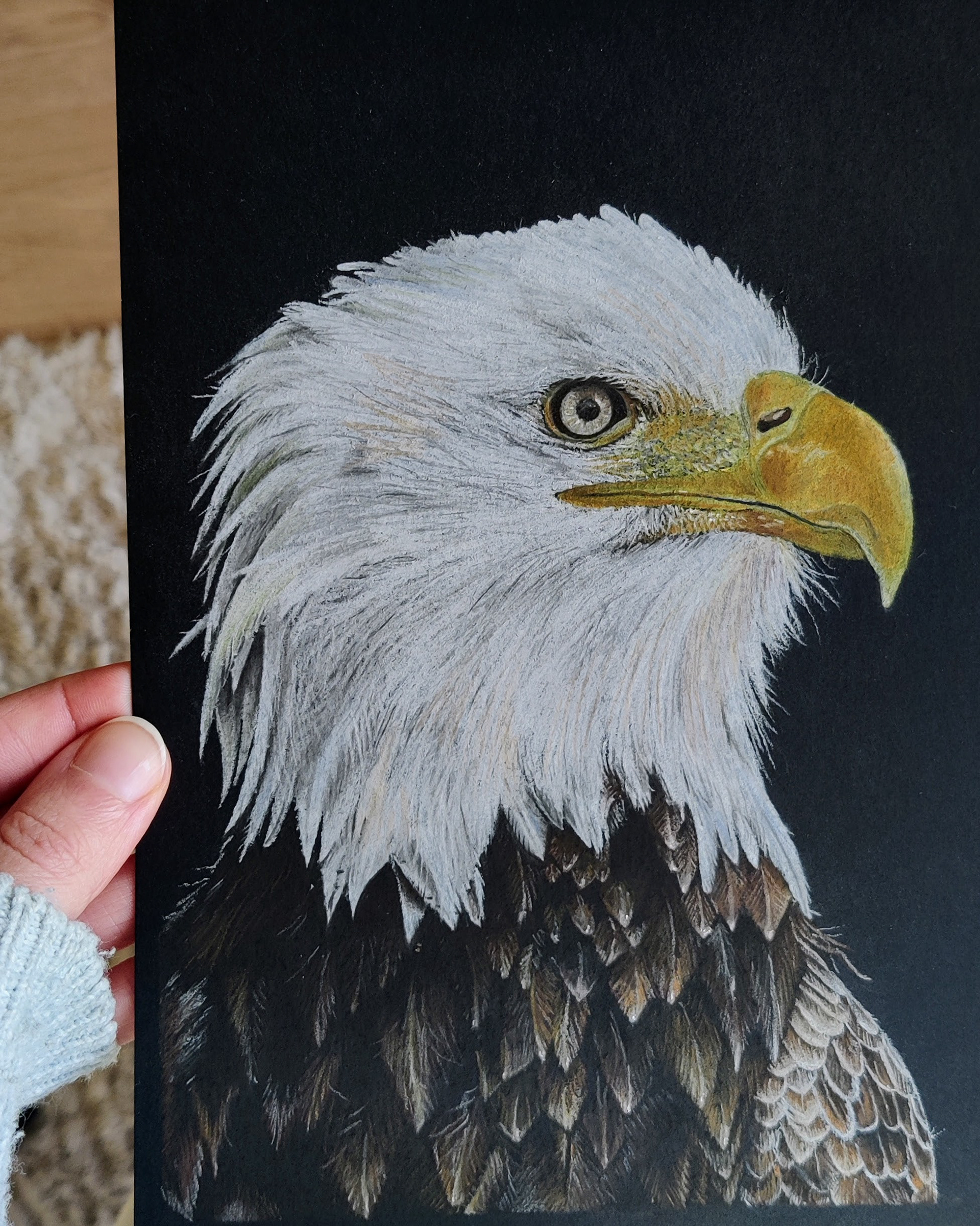 A bald eagle on A5 black paper