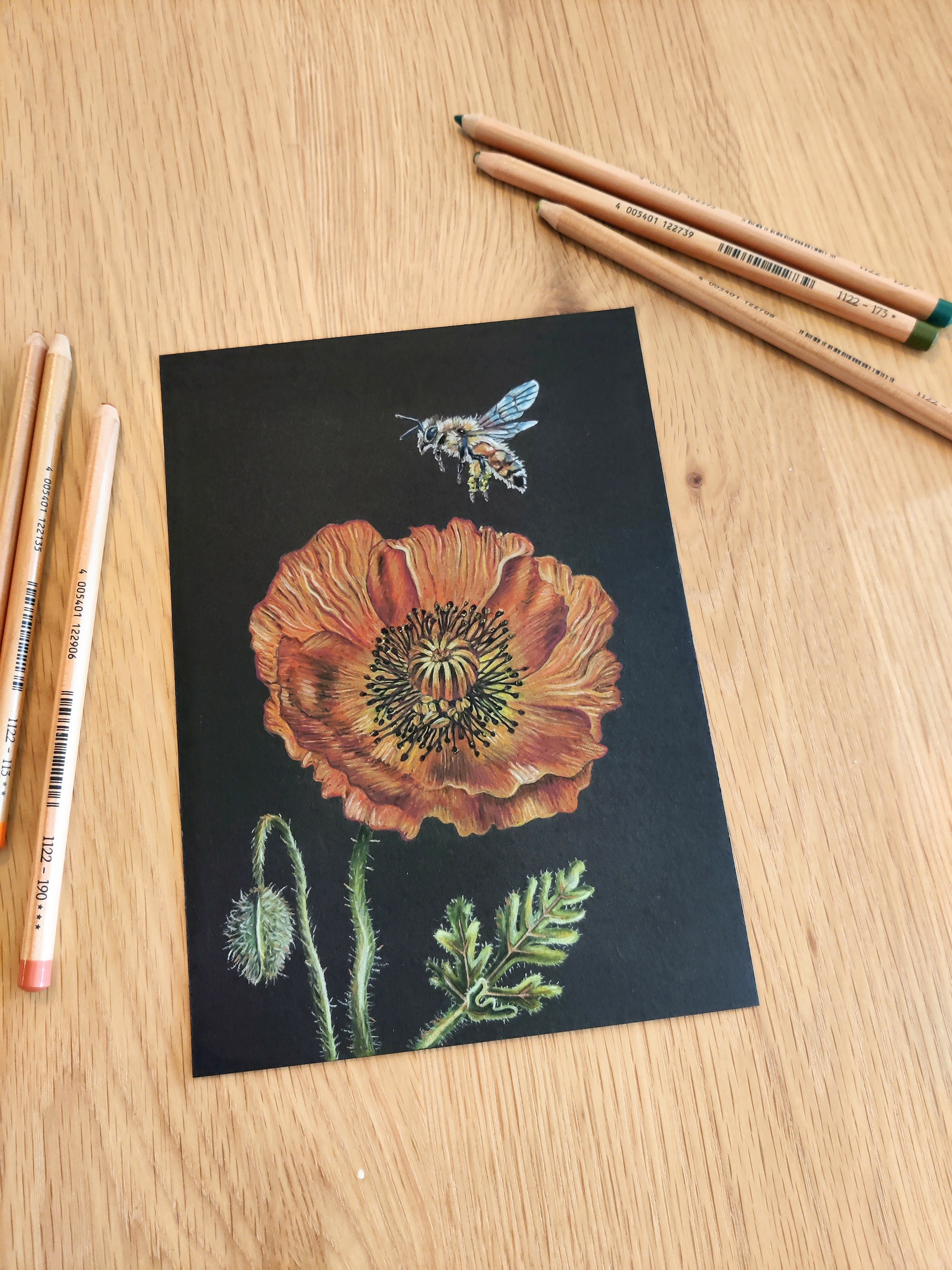 A poppy flower with tiny bee on A5 black paper