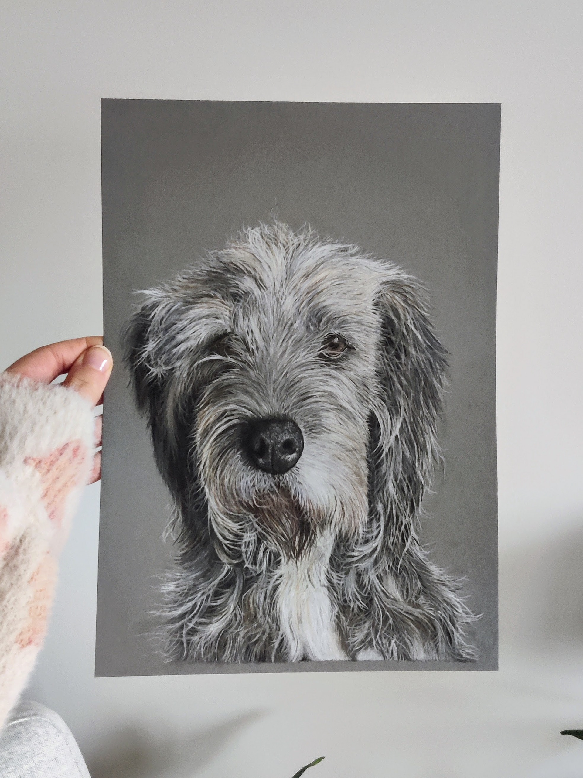 A dog mix on A4 grey paper