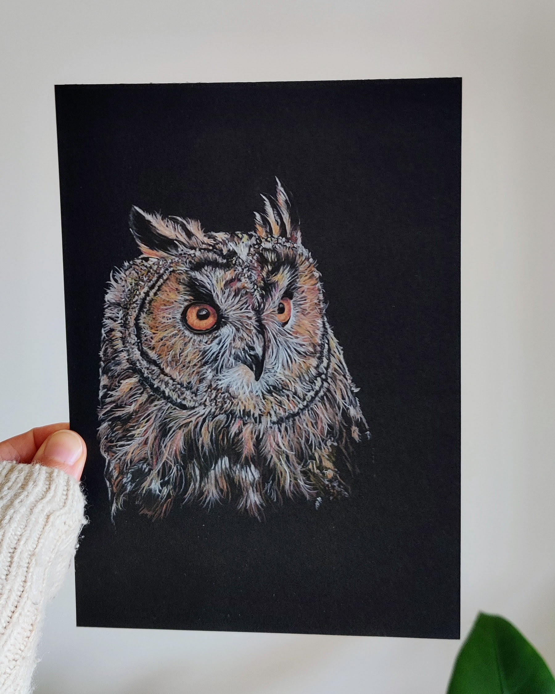 A long eared owl on A5 black paper