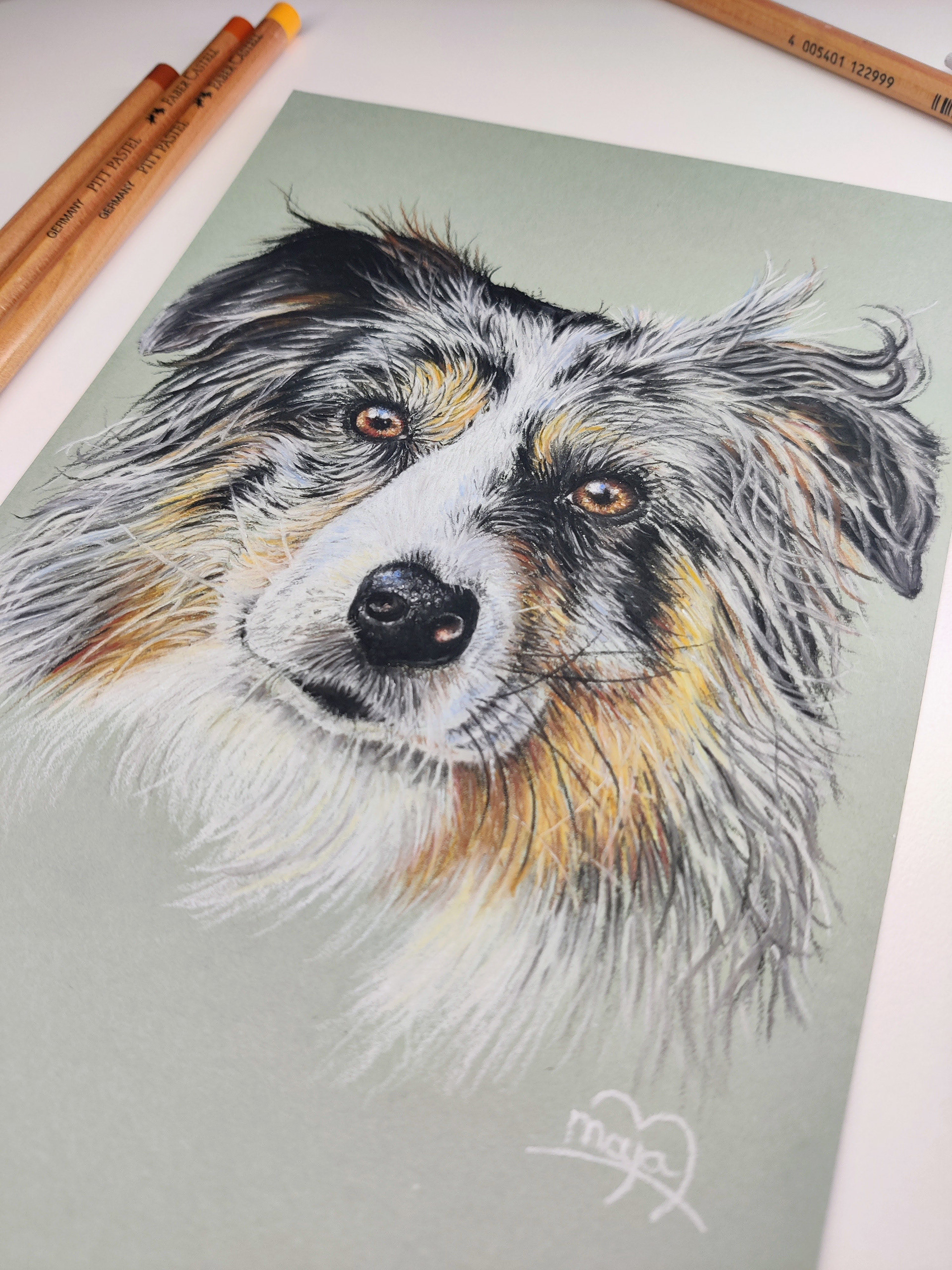 Australian shepherd on A5 grey/green paper #1