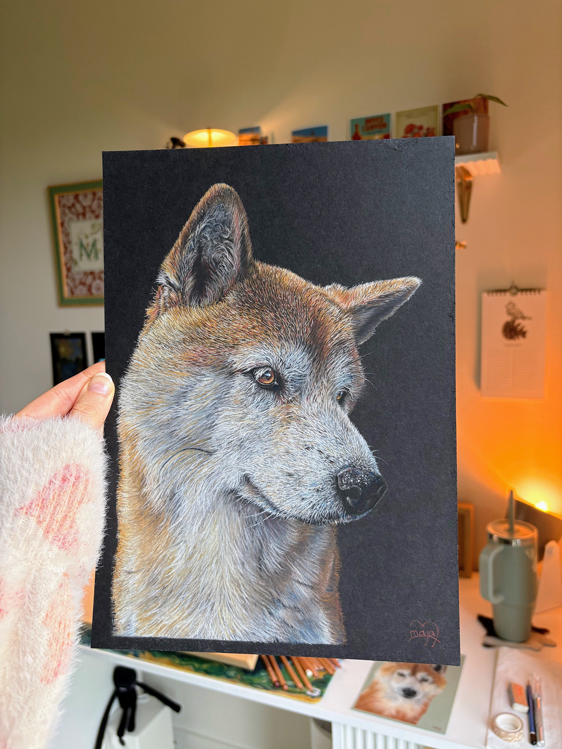 Shiba Inu on A4 black paper