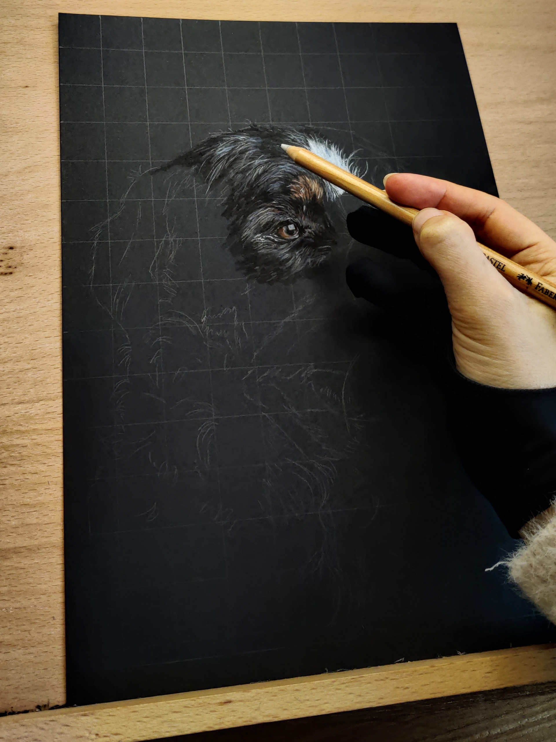 Bernese mountain dog on A4 black paper #1
