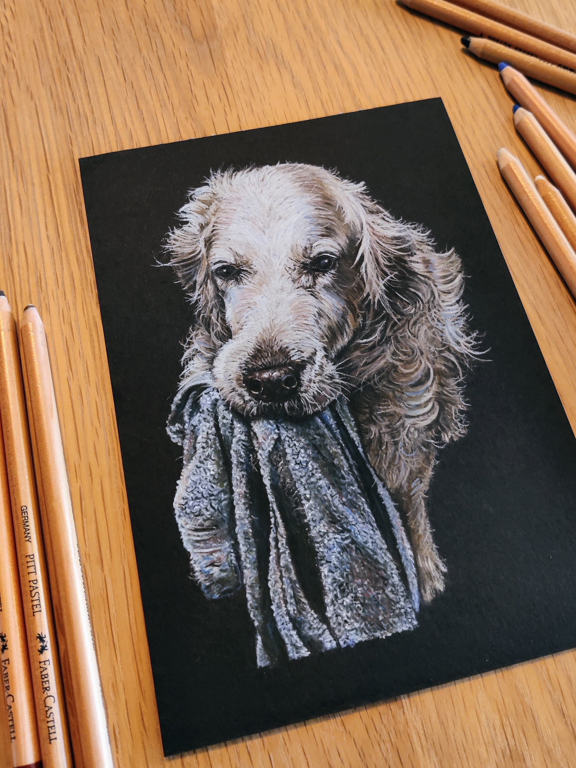 Golden retriever on A5 black paper